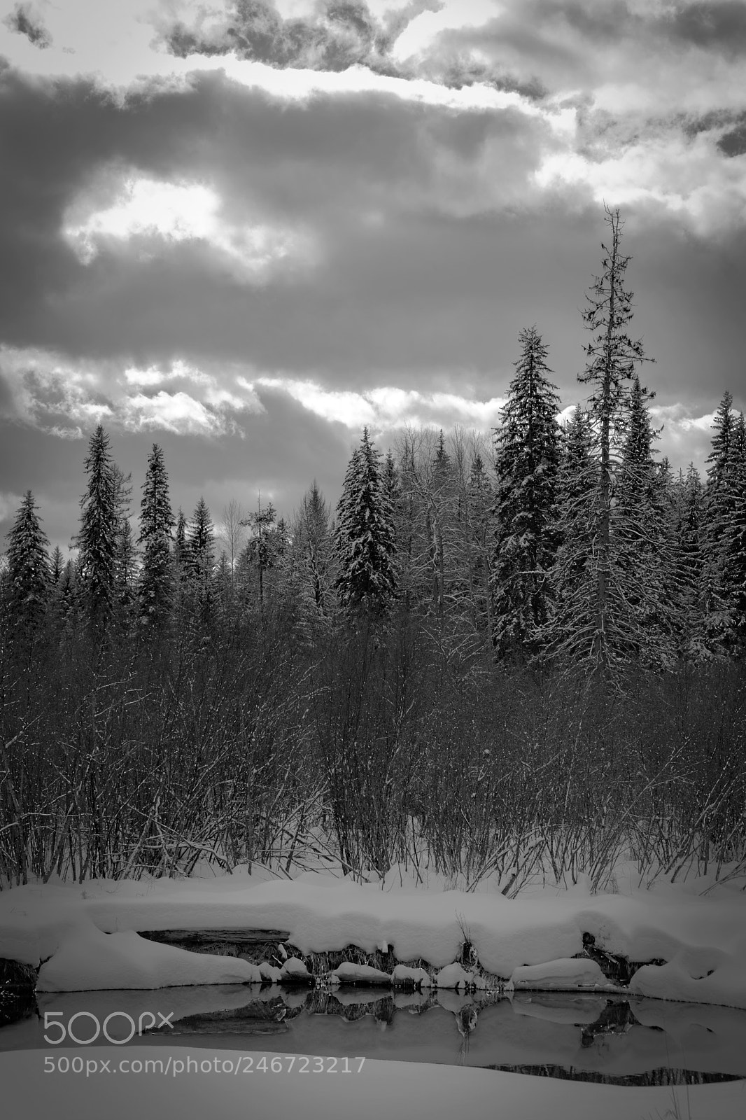 Nikon D5600 sample photo. Monochrome winter stream photography