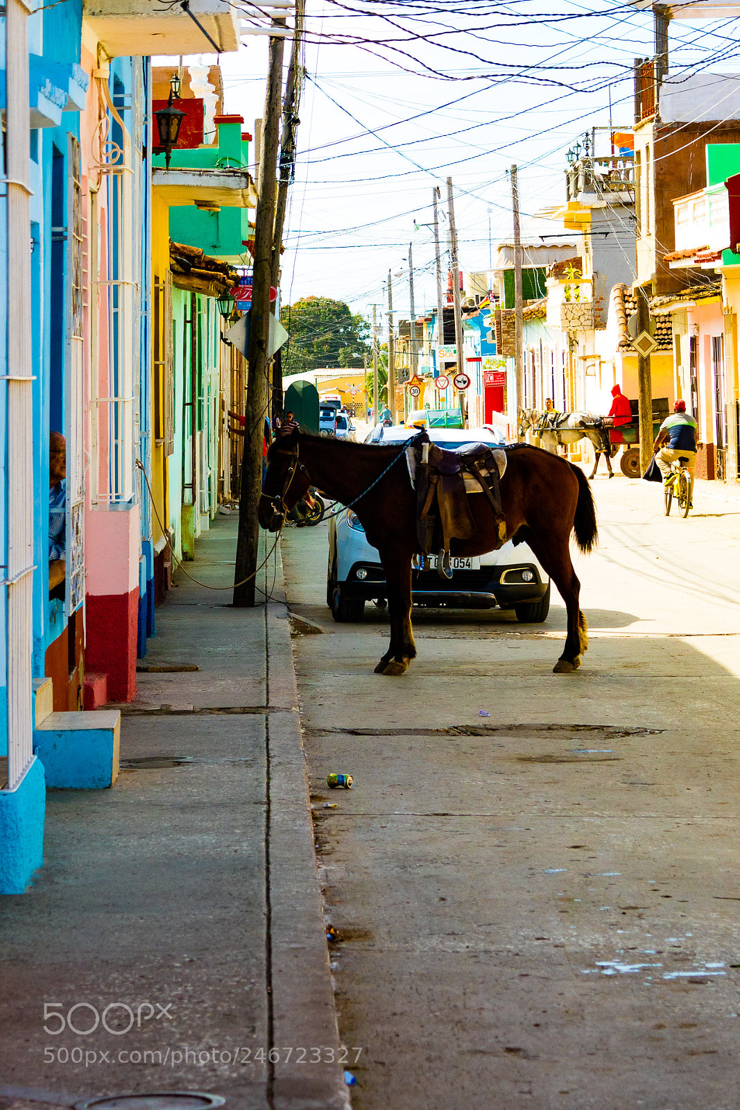 Canon EOS M3 sample photo. Horse photography