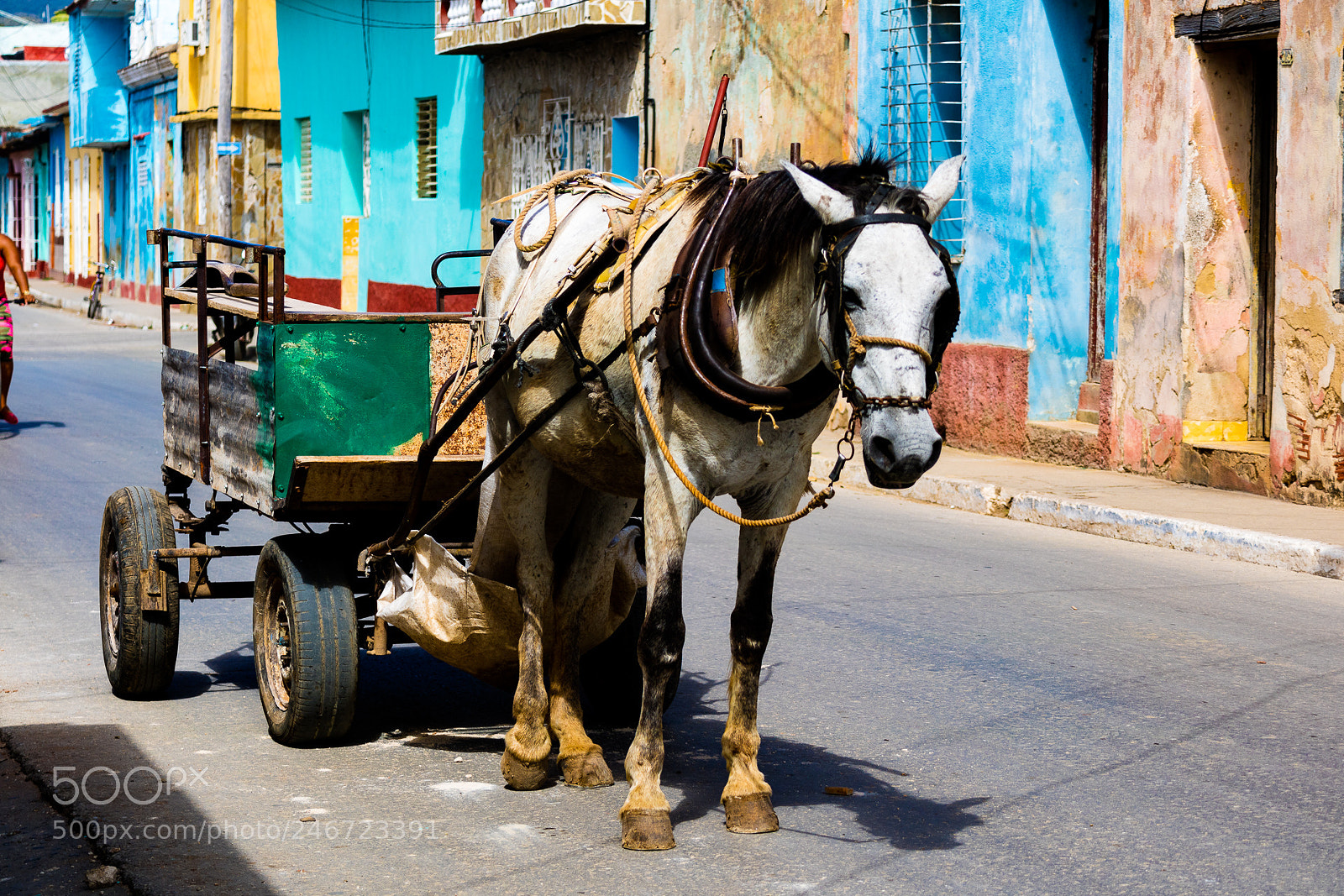 Canon EOS M3 sample photo. Carriage photography