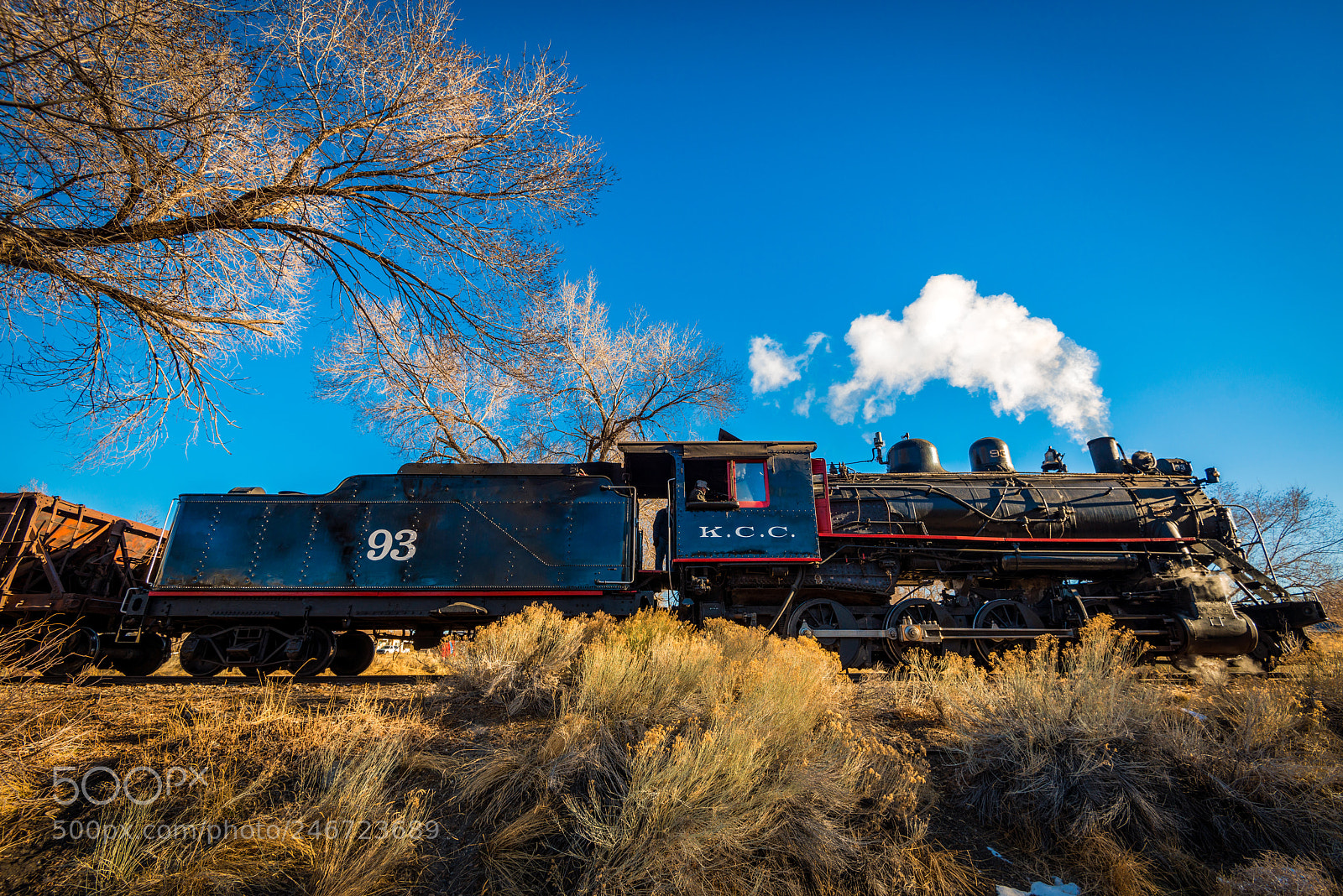 Nikon D800 sample photo. Locomotive #93 photography
