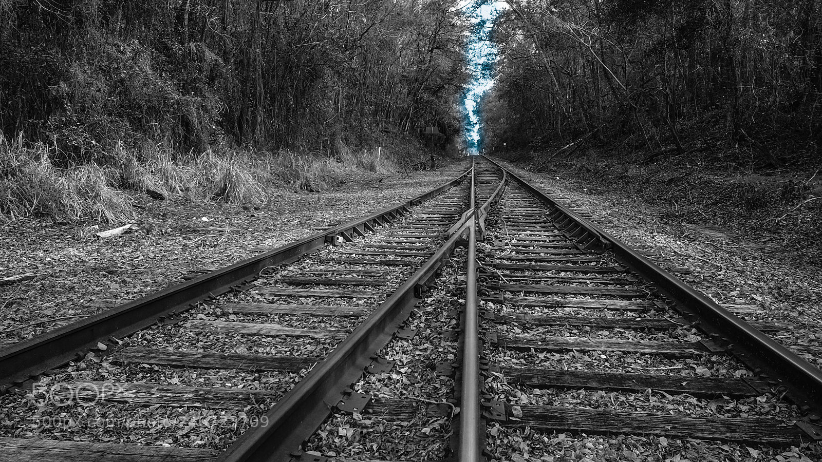 DJI FC220 sample photo. Train tracks in brooksville photography