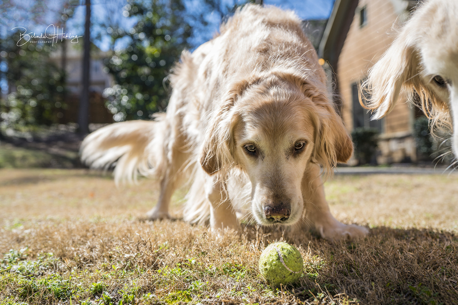 Sony a7R III sample photo. Don't even think about photography