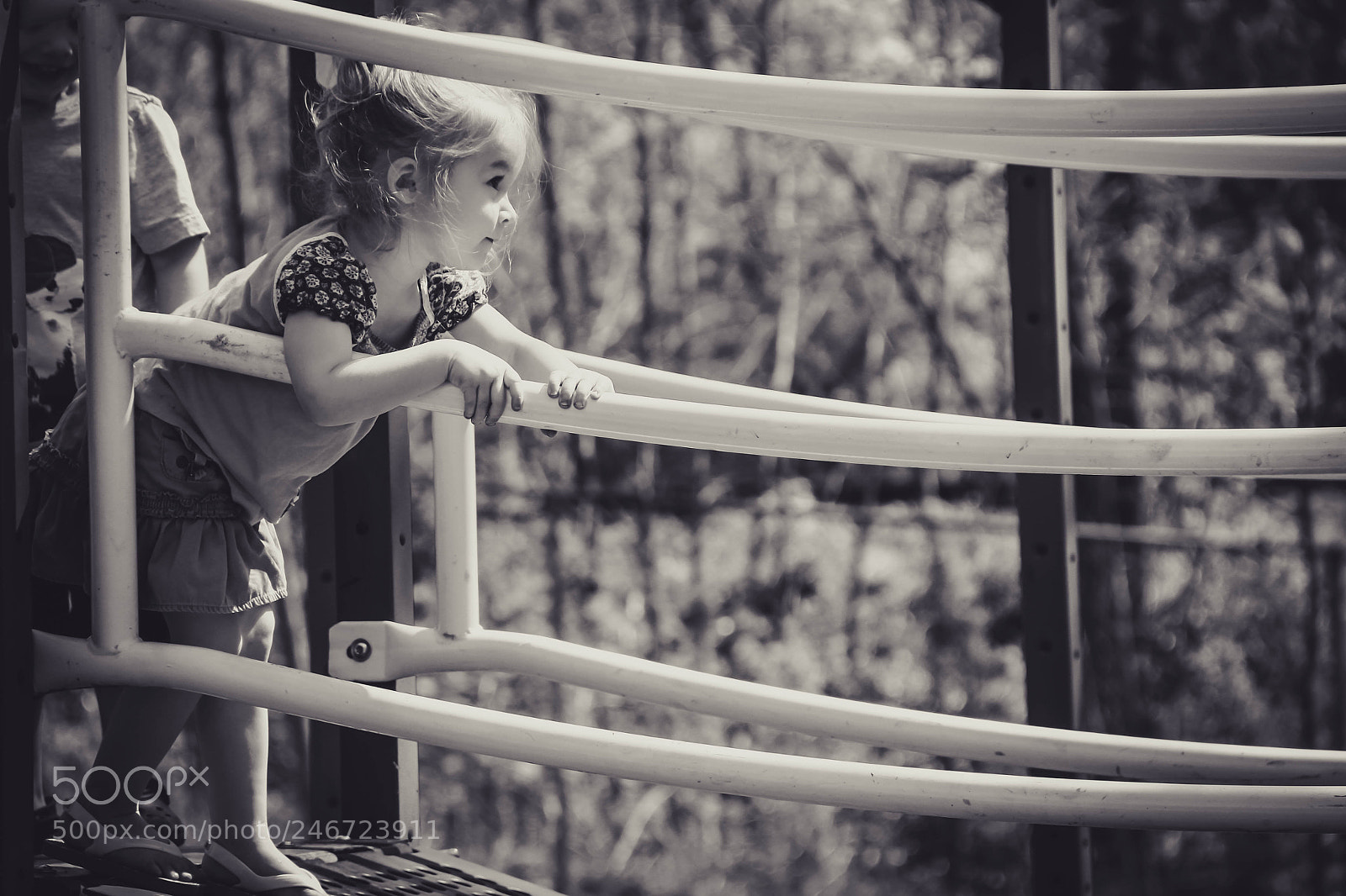 Canon EOS 60D sample photo. Untitled photography