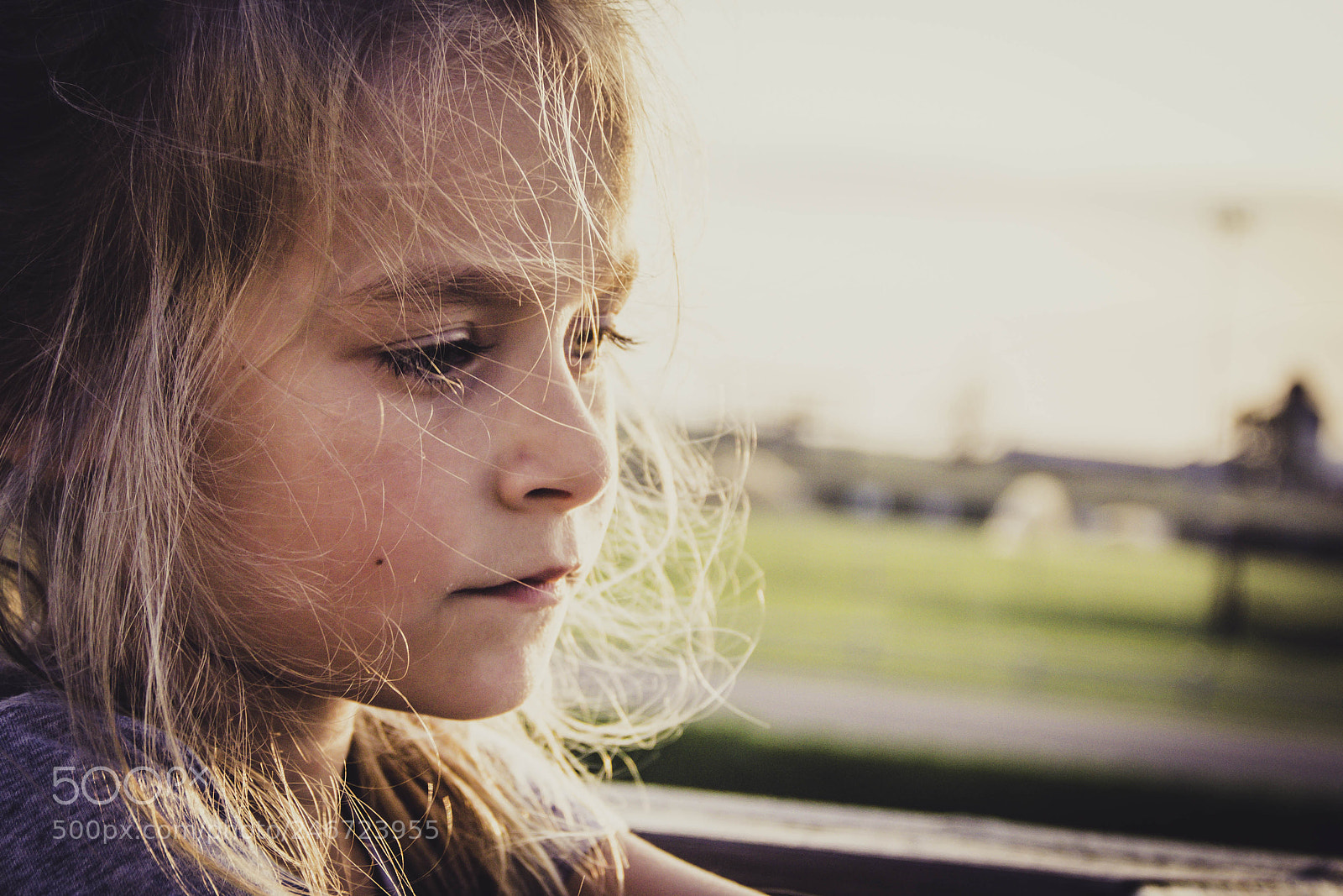 Canon EOS 60D sample photo. Untitled photography
