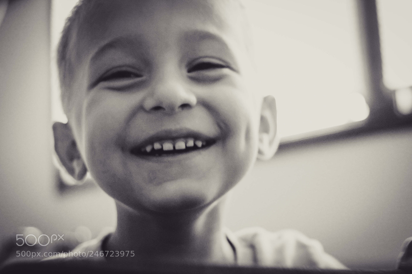 Canon EOS 60D sample photo. Untitled photography