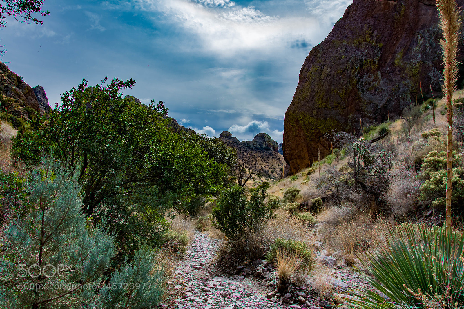 Nikon D7100 sample photo. Soledad canyon photography