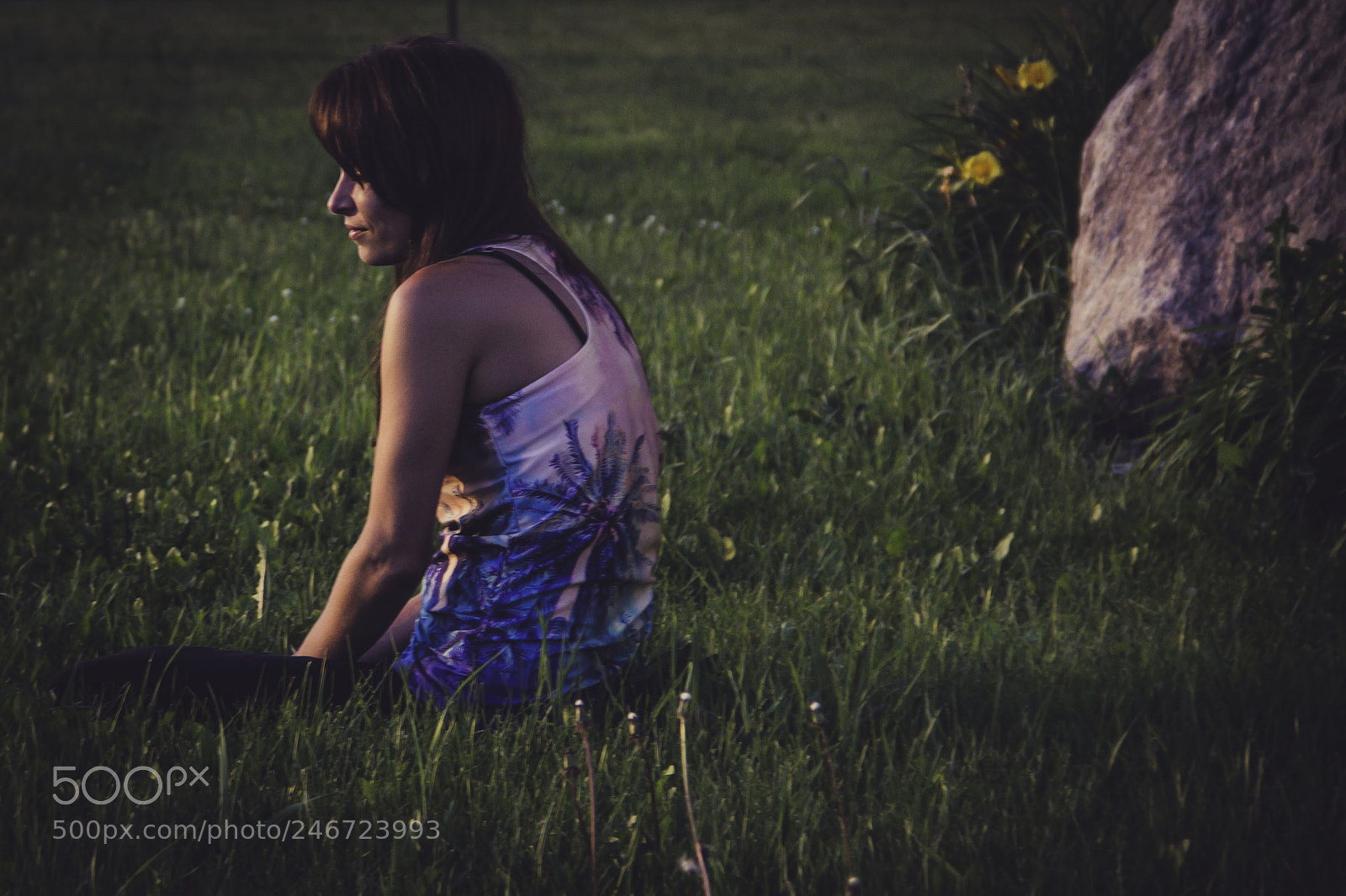 Canon EOS 60D sample photo. Untitled photography