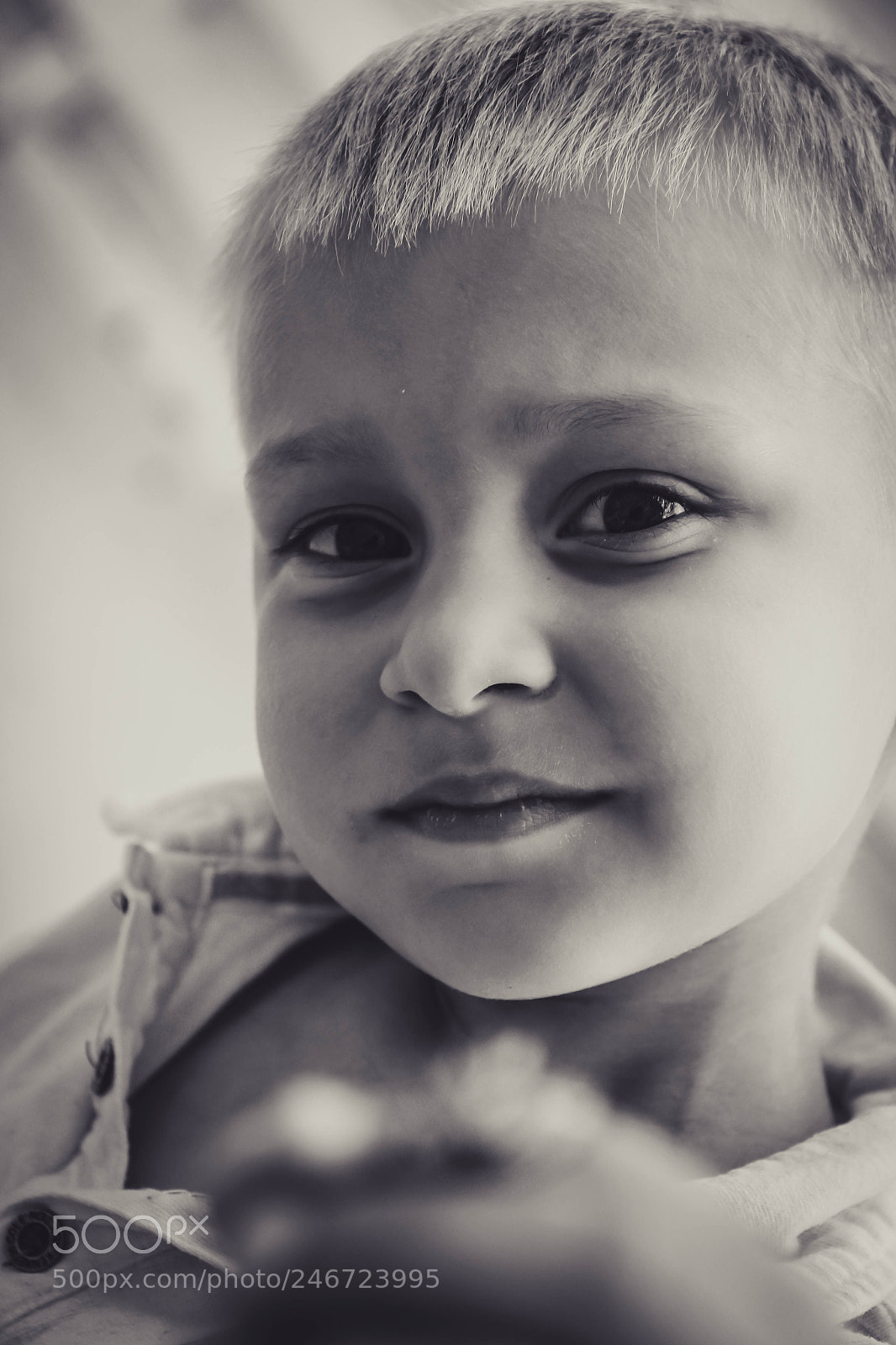 Canon EOS 60D sample photo. Untitled photography