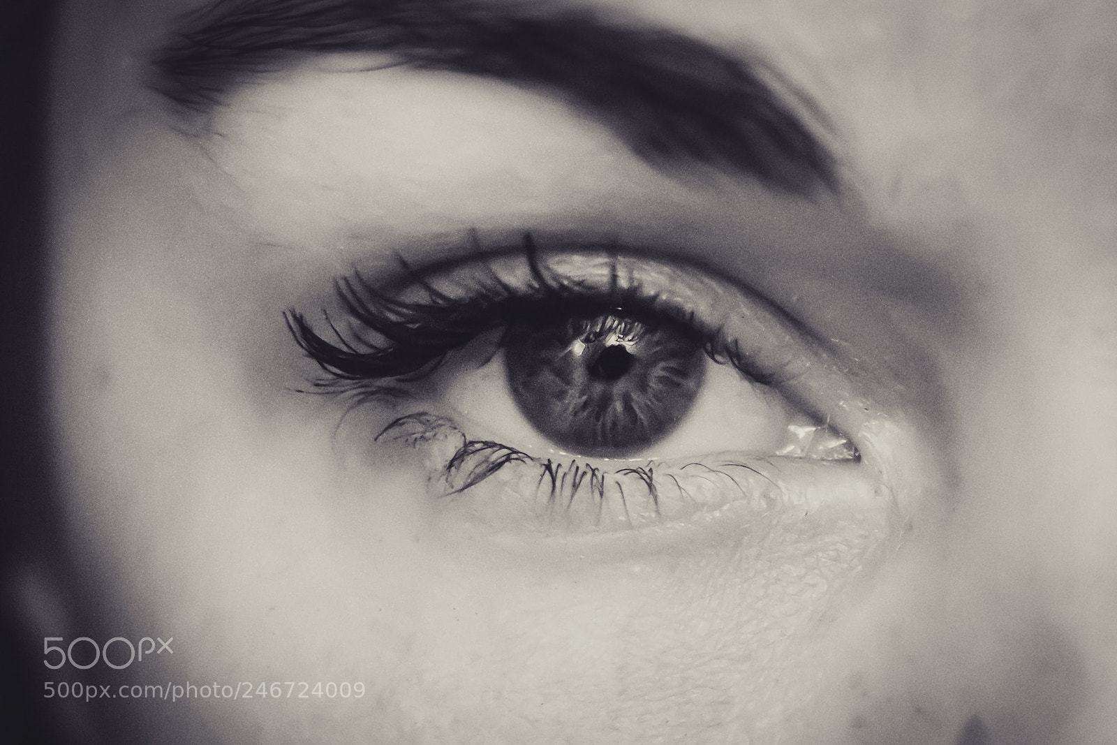 Canon EOS 60D sample photo. Untitled photography