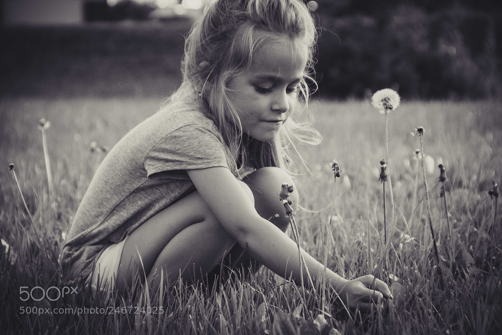 Canon EOS 60D sample photo. Untitled photography