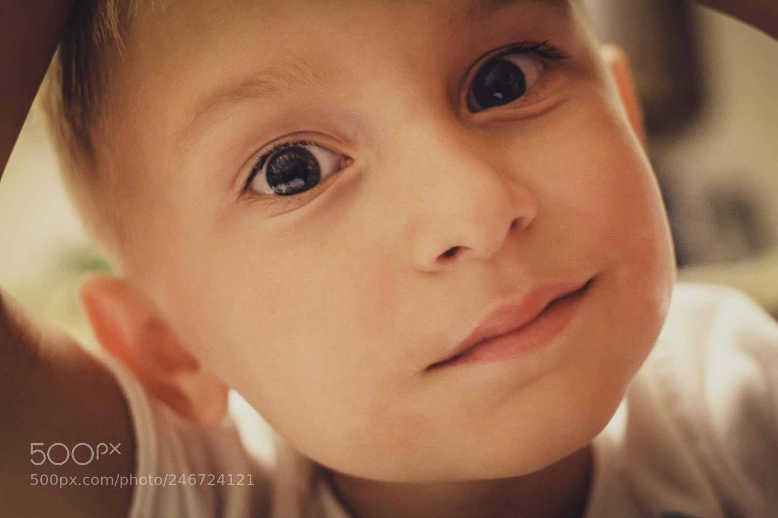 Canon EOS 60D sample photo. Untitled photography
