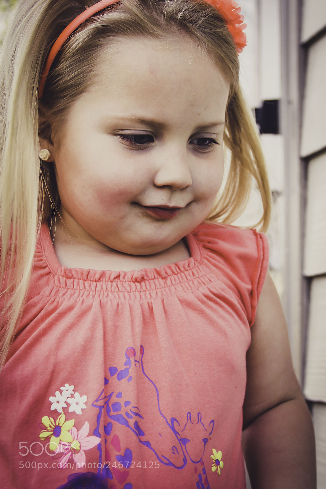 Canon EOS 60D sample photo. Untitled photography