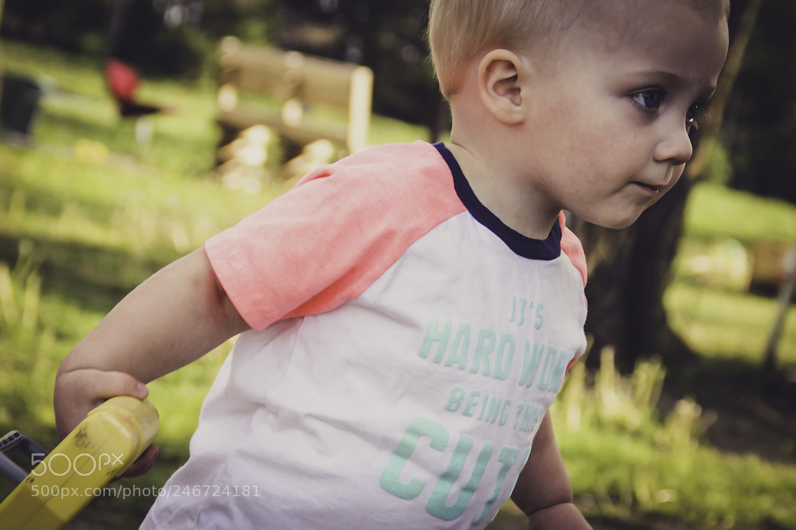 Canon EOS 60D sample photo. Untitled photography