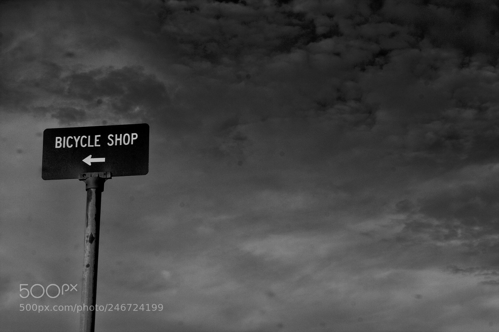 Canon EOS 40D sample photo. Bike shop photography