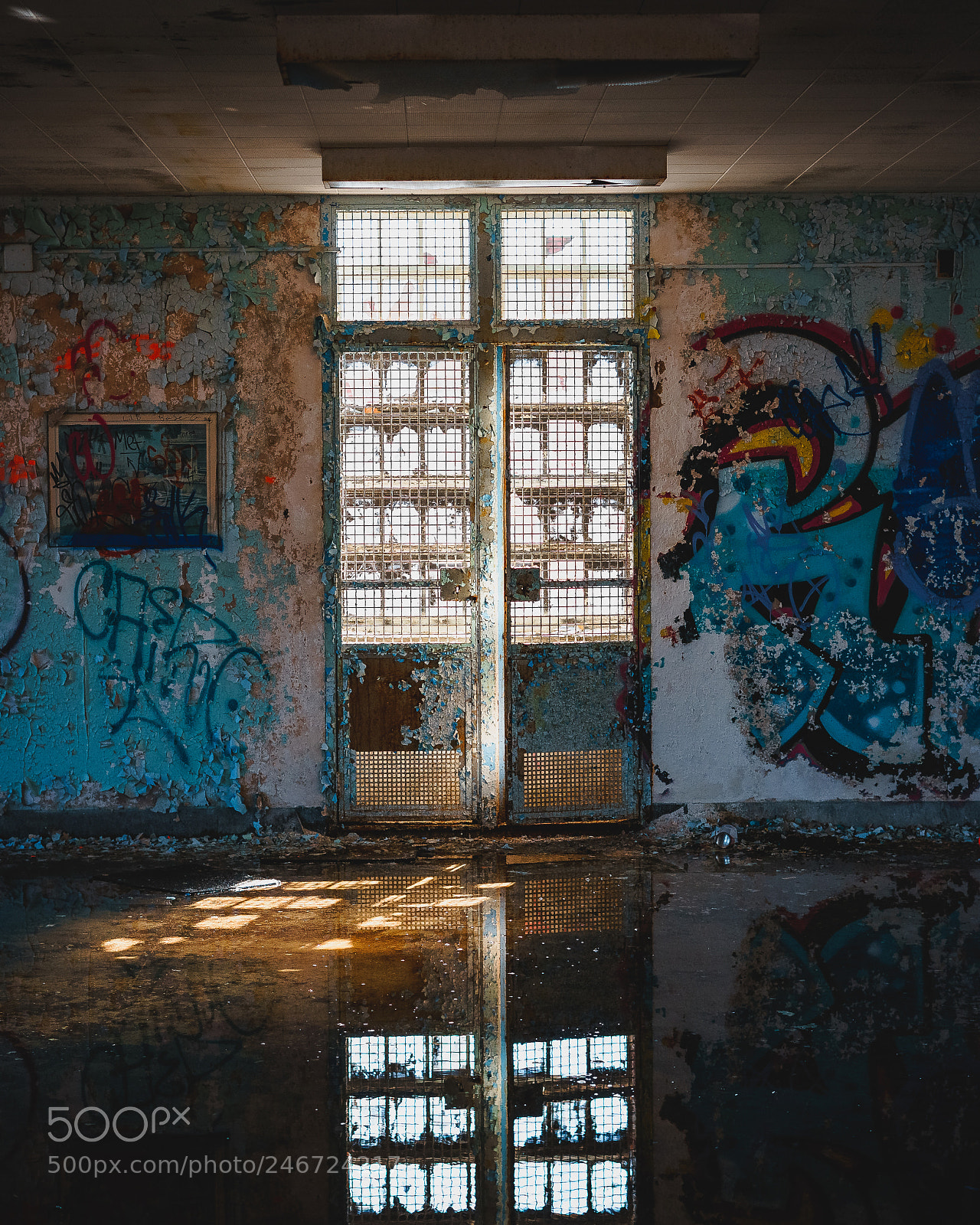 Sony a7 II sample photo. Bando doors and windows. photography