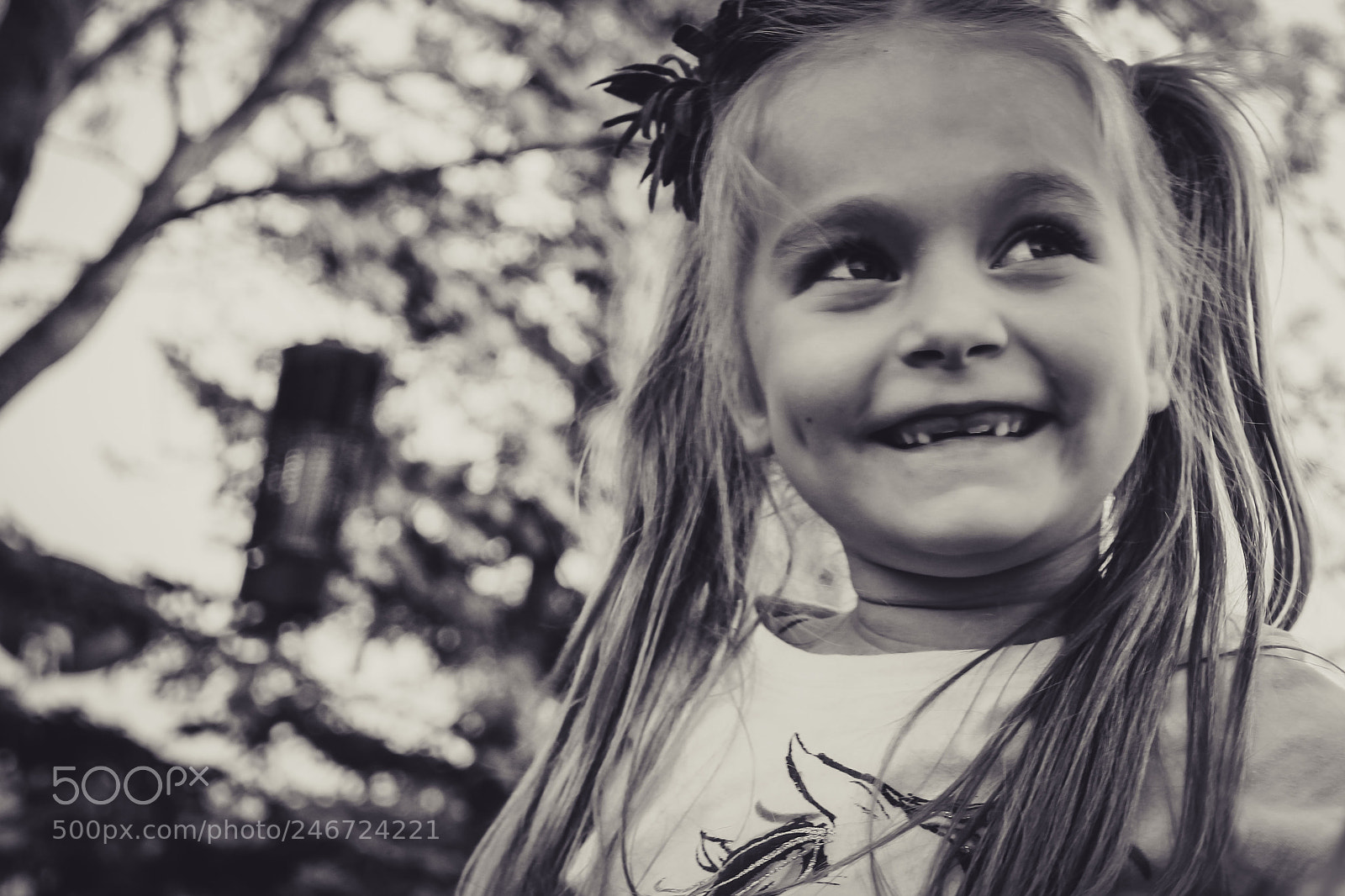 Canon EOS 60D sample photo. Untitled photography
