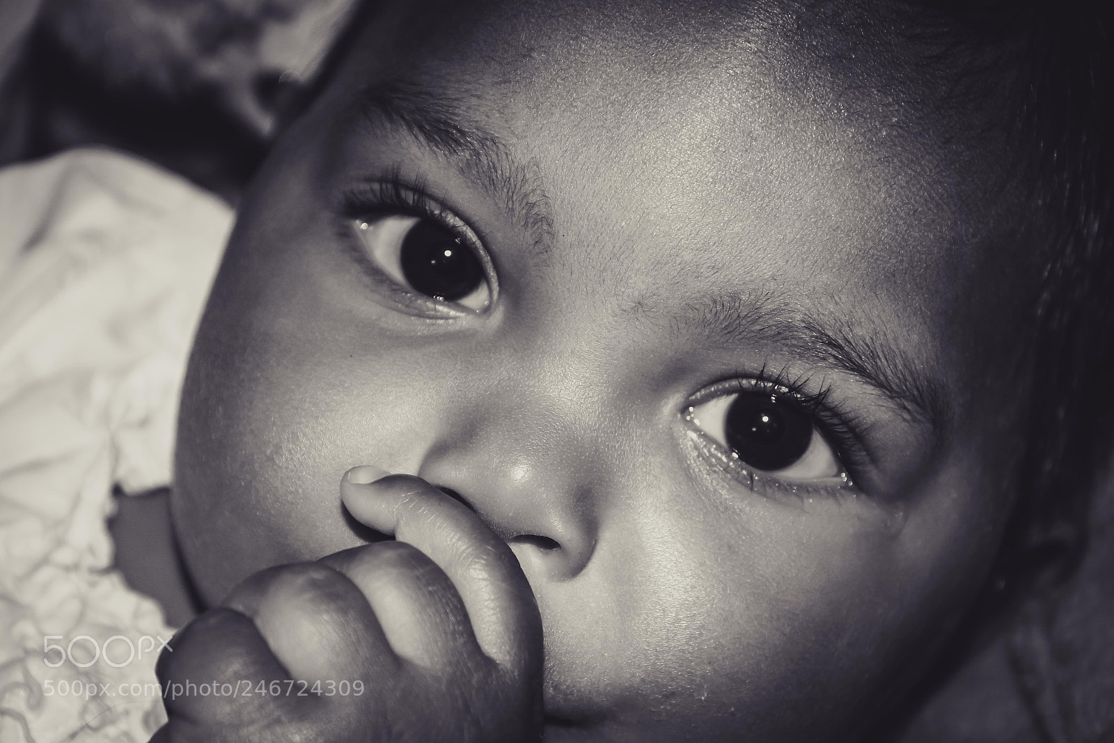 Canon EOS 60D sample photo. Untitled photography
