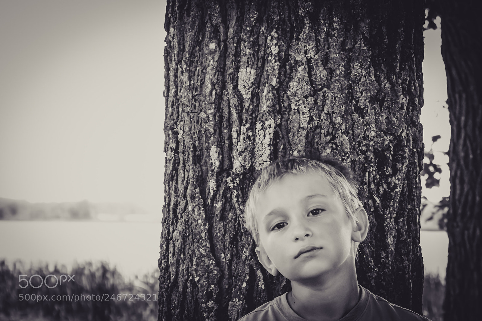 Canon EOS 60D sample photo. Untitled photography
