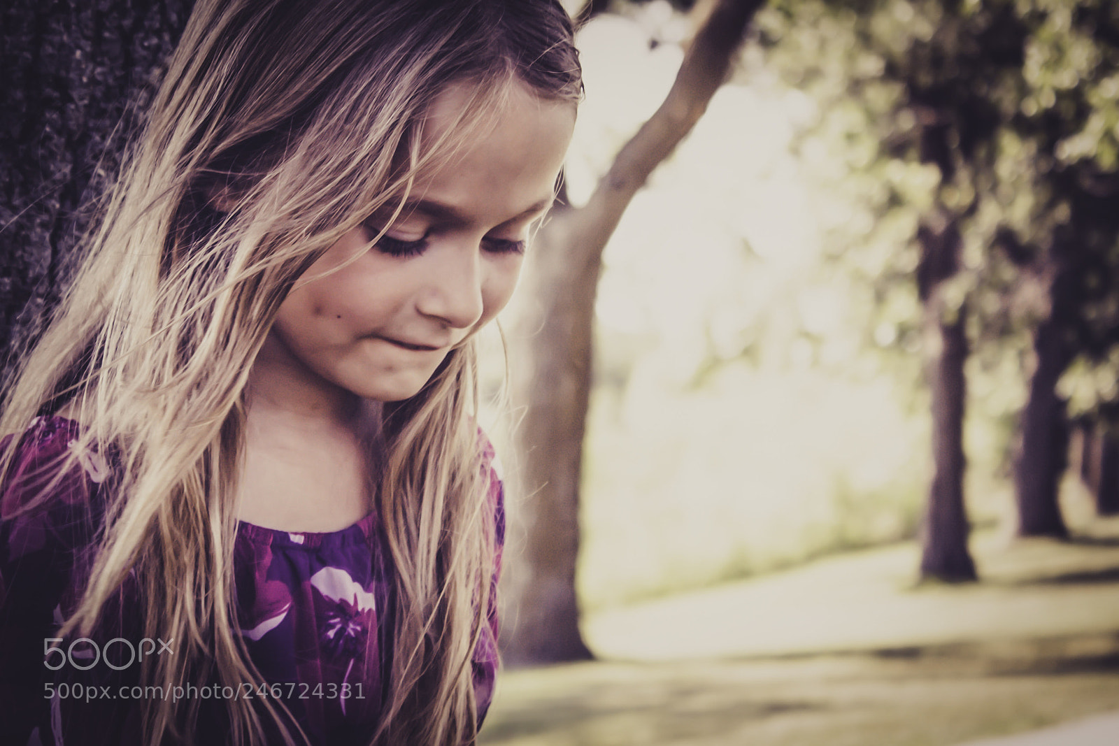 Canon EOS 60D sample photo. Untitled photography