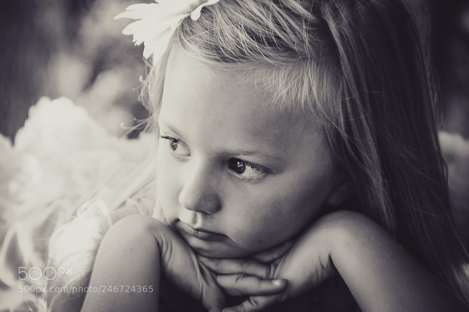 Canon EOS 60D sample photo. Untitled photography