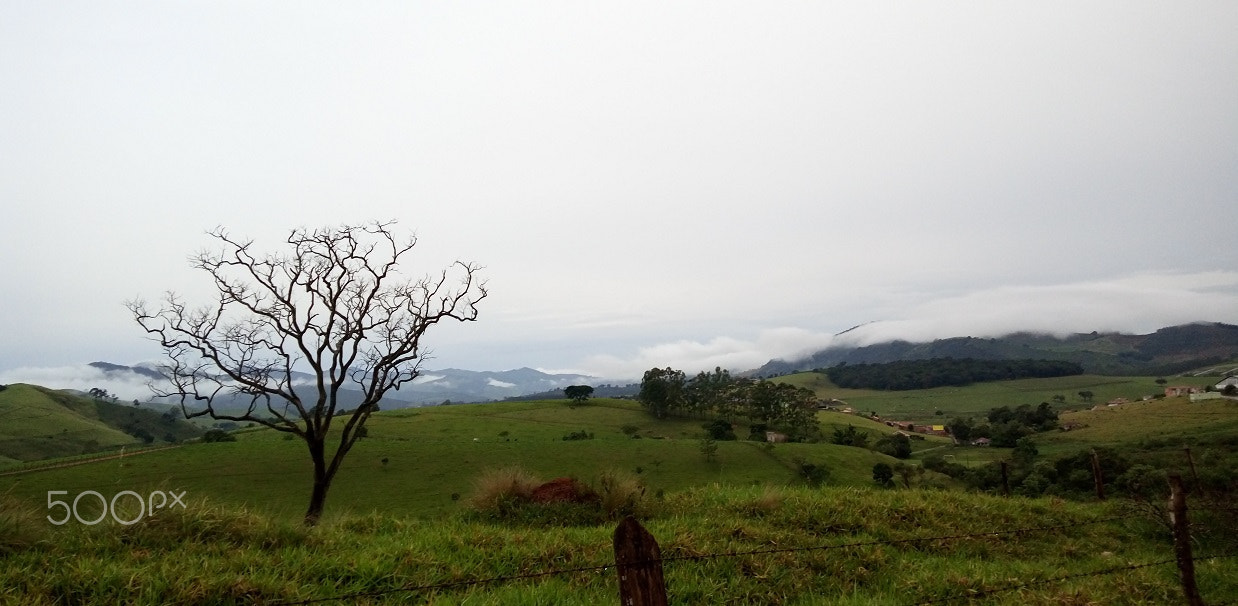 LG K430TV sample photo. Countryside after storm. photography