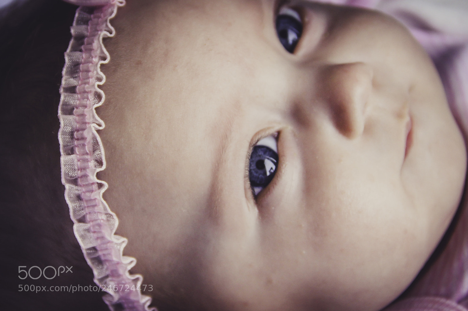 Canon EOS 60D sample photo. Untitled photography