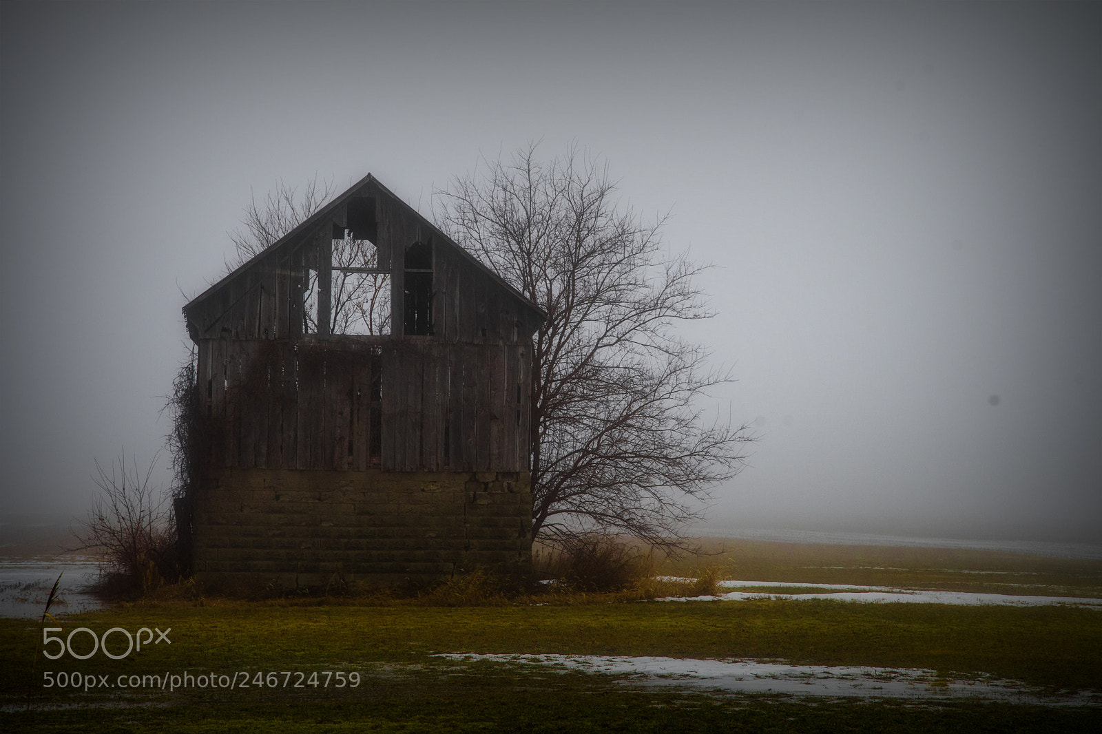 Nikon D500 sample photo. Barn in the mist photography