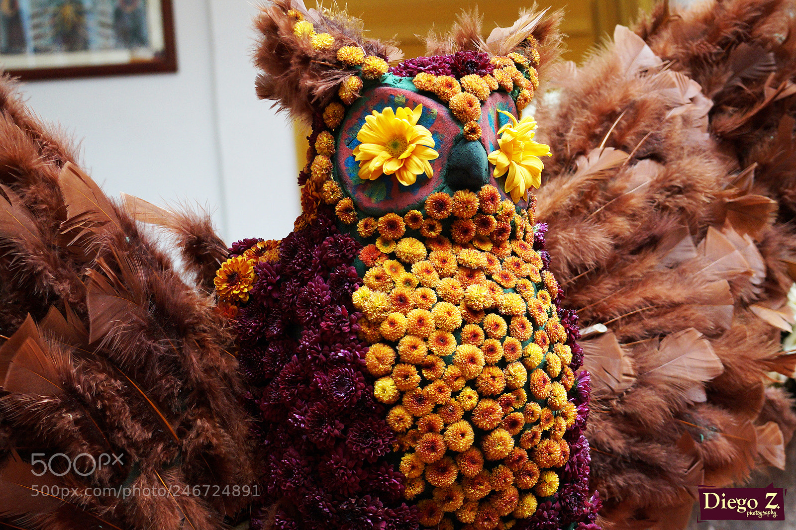 Sony Alpha a3500 sample photo. Carnaval - ambato 2018 photography