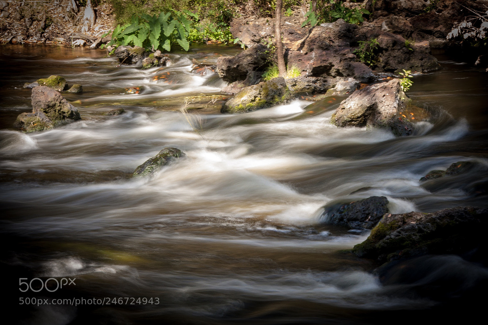 Canon EOS 40D sample photo. Hillsborough river photography