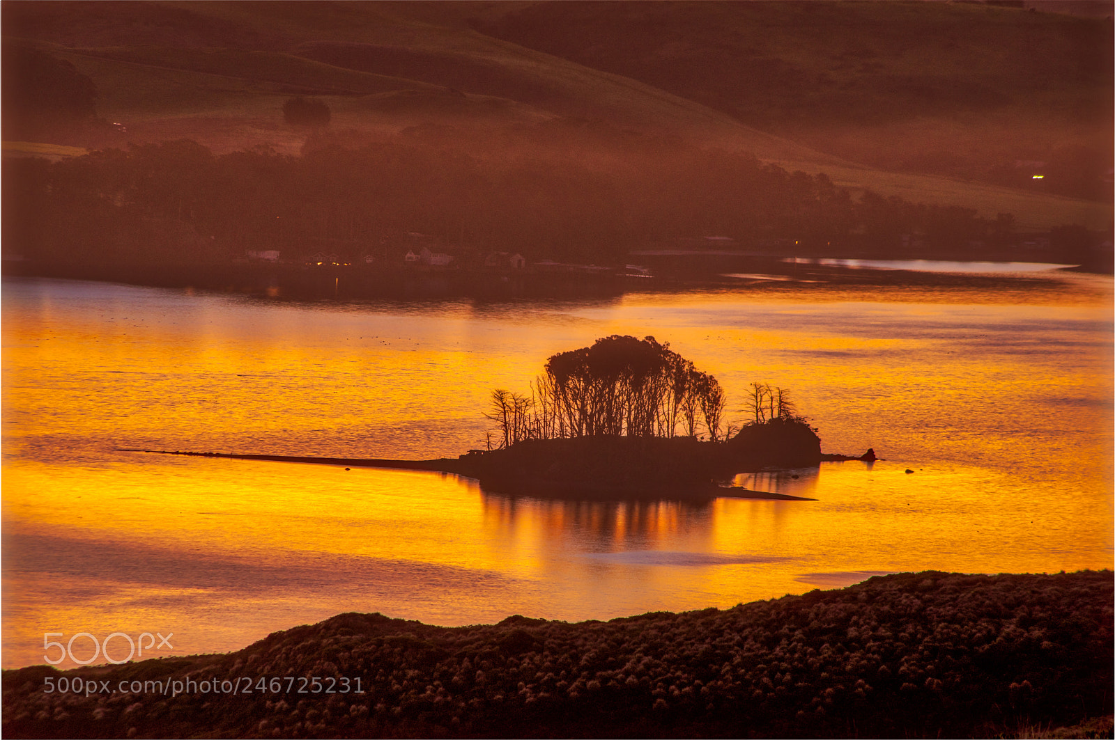 Pentax K-3 II sample photo. Point reyes photography