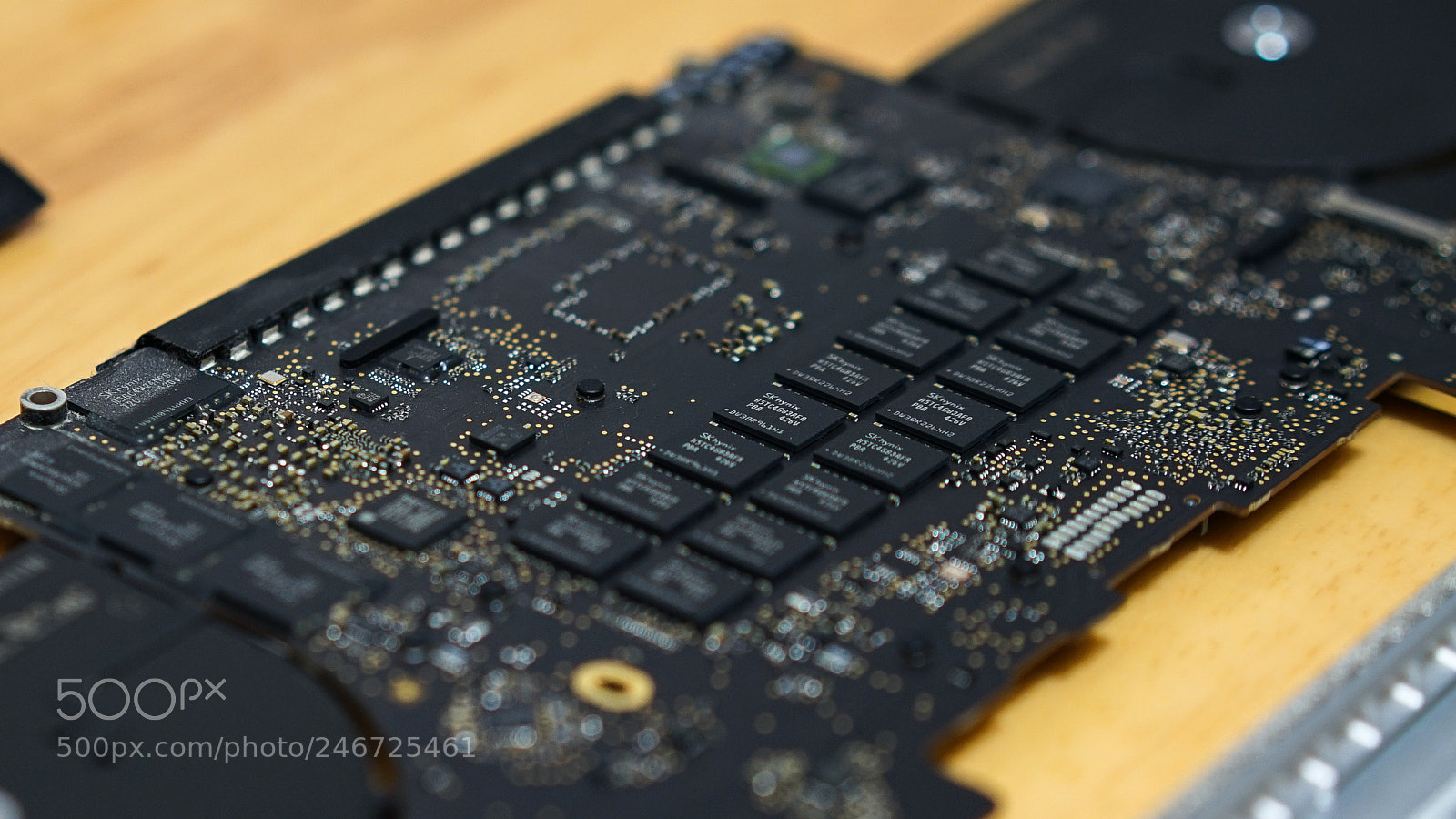 Sony a7 II sample photo. Fix macbook 维修电脑 photography