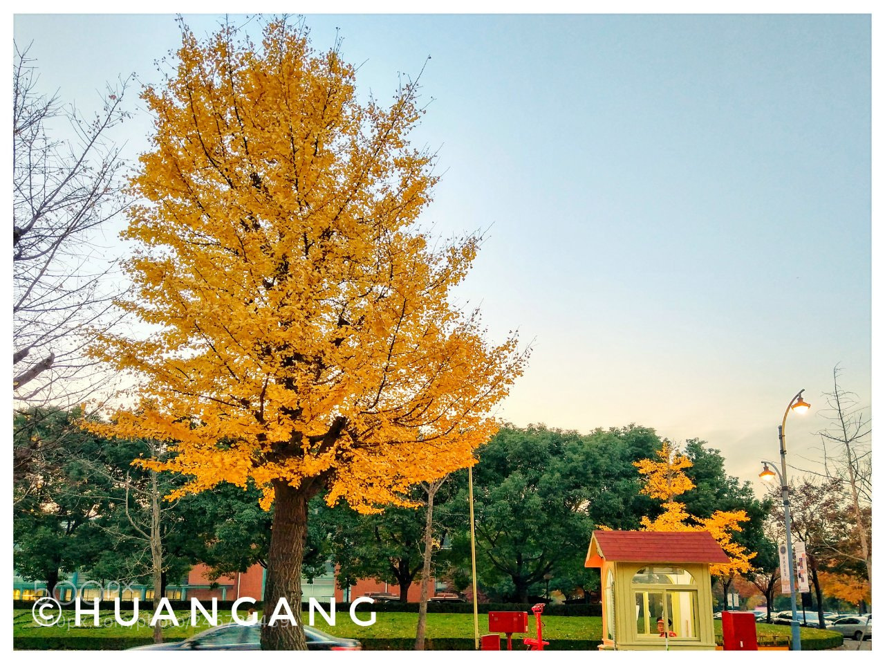 Xiaomi MI 5s sample photo. Untitled photography