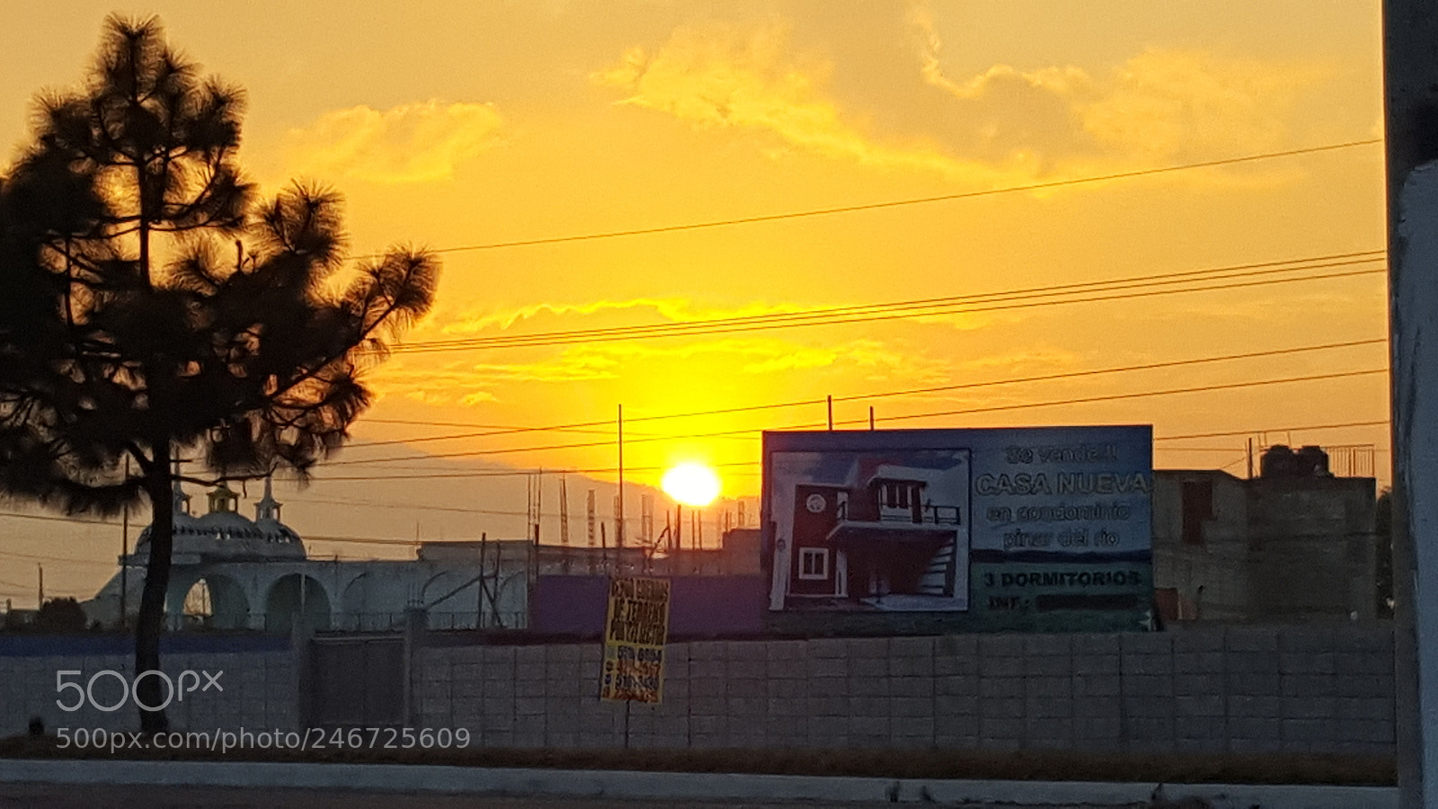 Samsung Galaxy S6 sample photo. Sunny photography