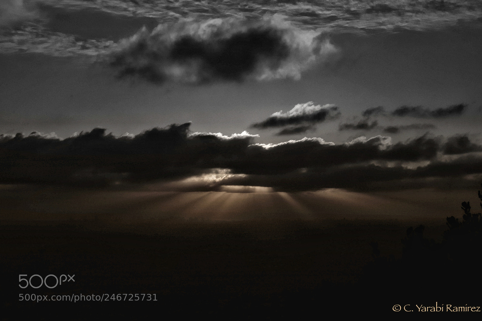 Nikon D5200 sample photo. In heaven photography