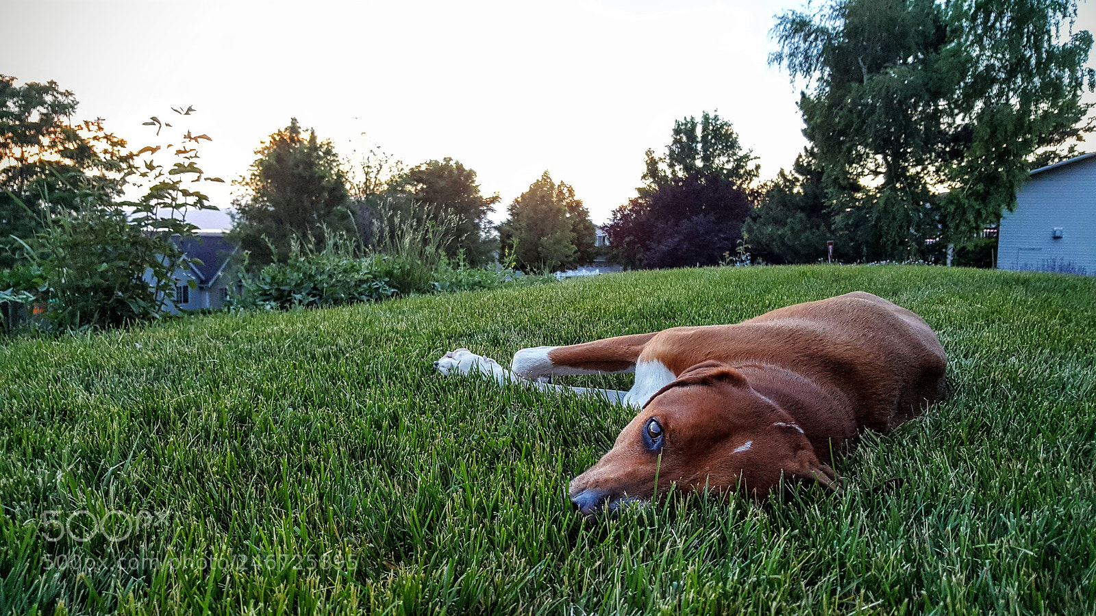 Samsung Galaxy Note5 sample photo. Untitled photography