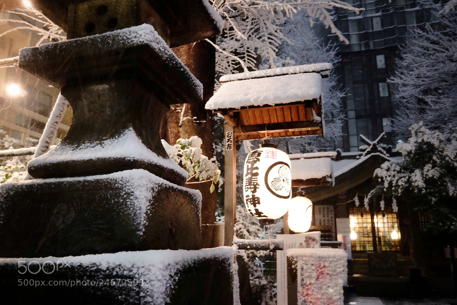 Fujifilm X70 sample photo. Untitled photography