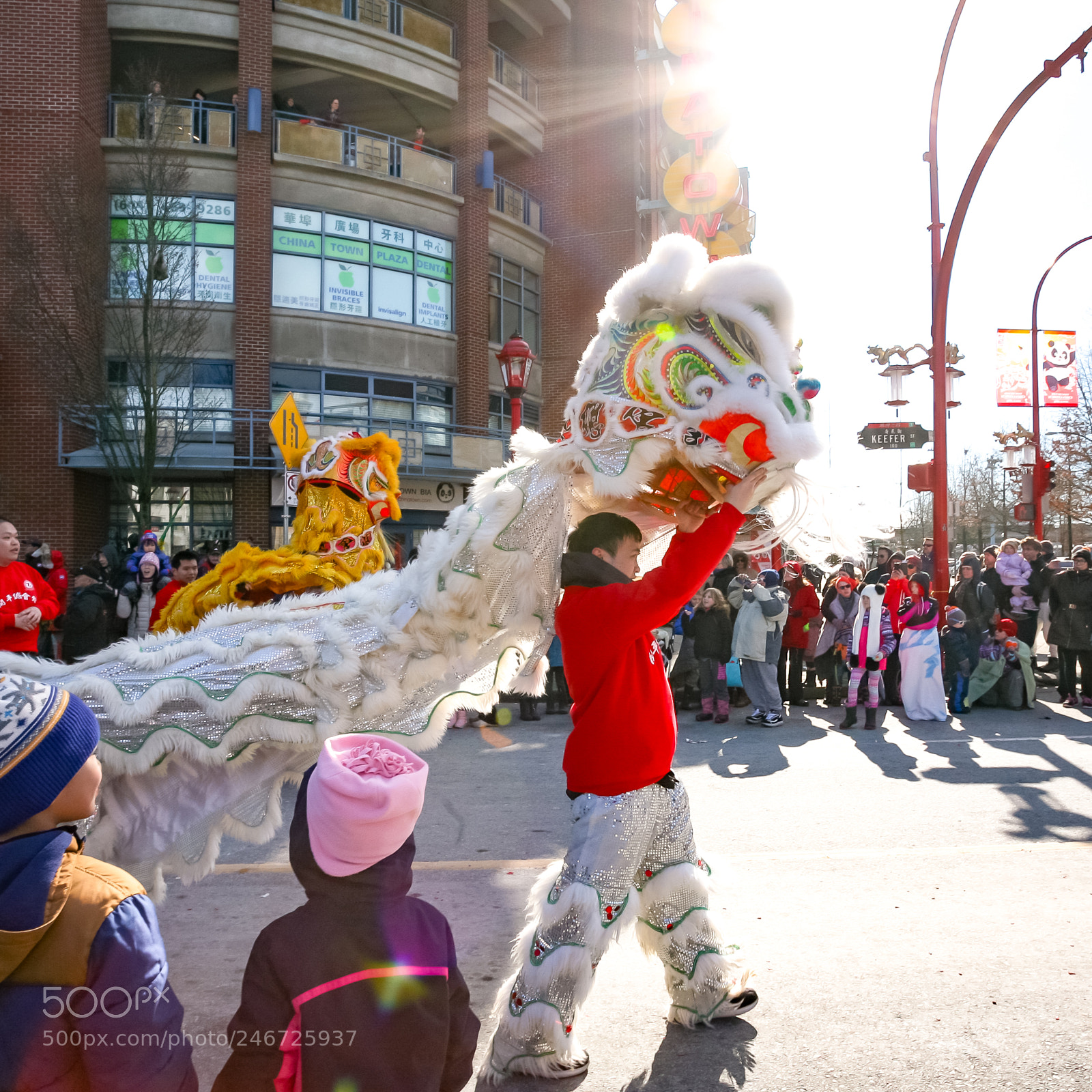 Canon EOS 5D sample photo. Year of the dog photography