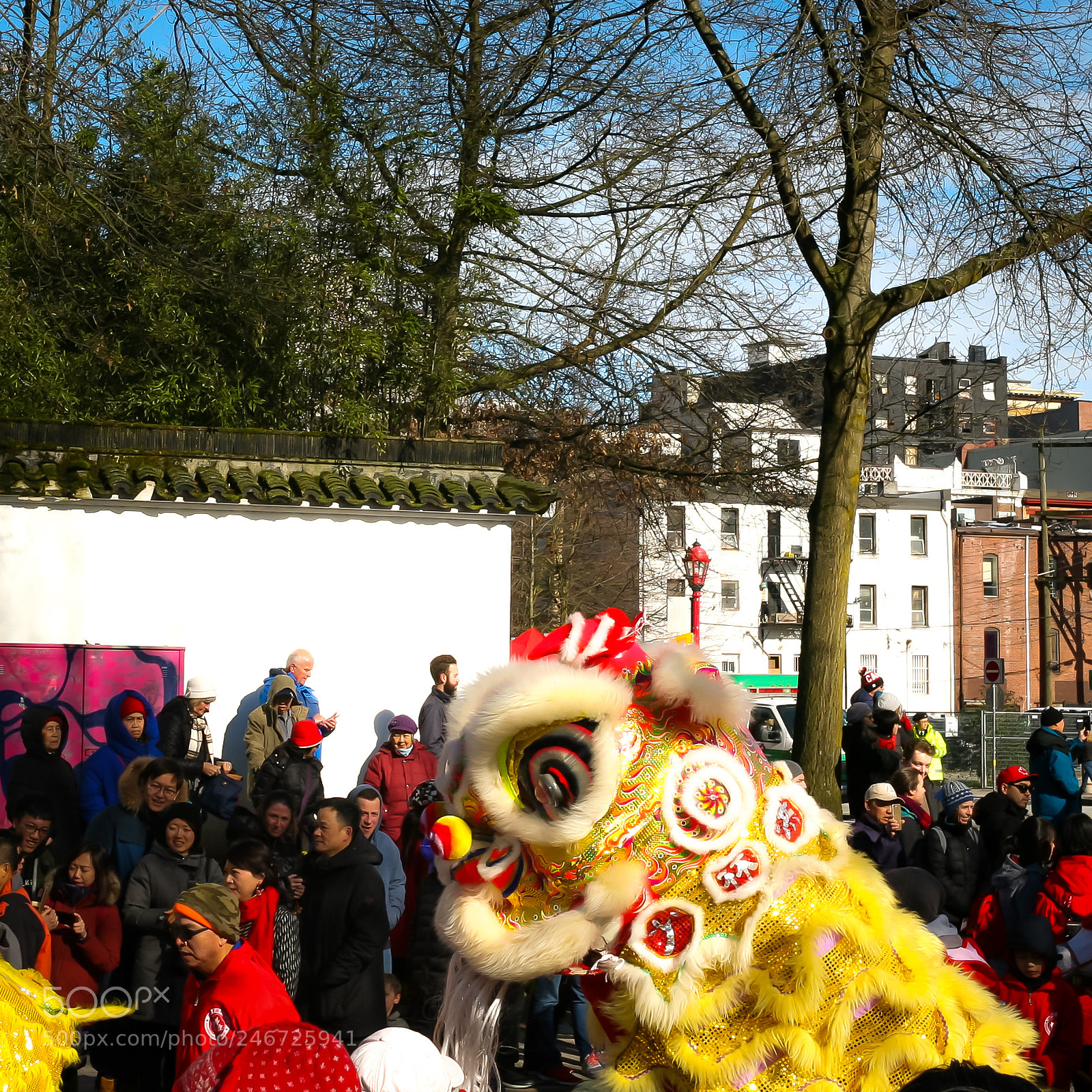 Canon EOS 5D sample photo. Year of the dog photography