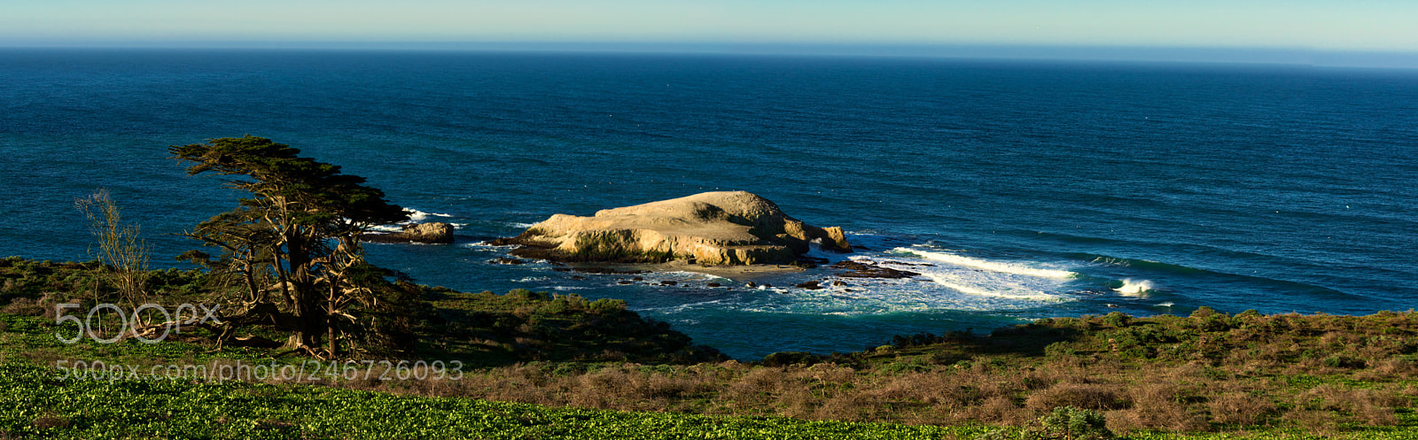 Pentax K-3 II sample photo. Point reyes photography