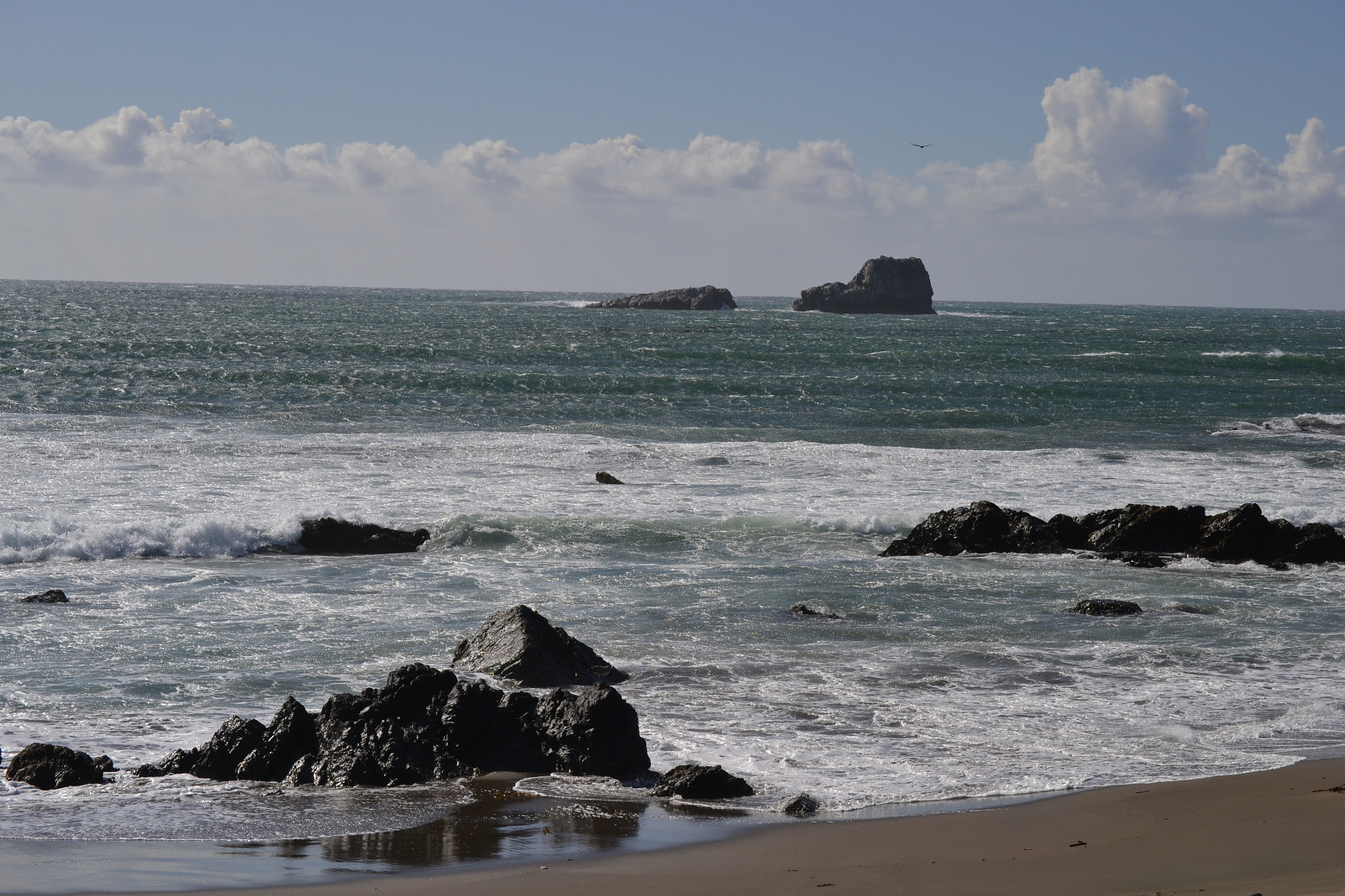 Nikon D3100 sample photo. Se4 photography