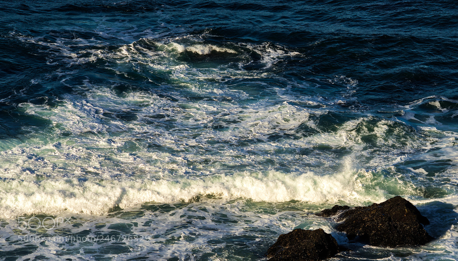 Pentax K-3 II sample photo. Point reyes photography