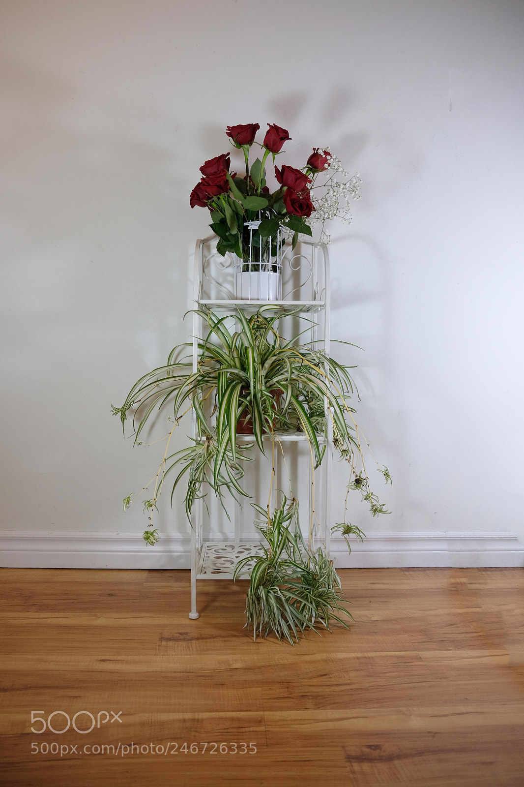 Fujifilm X-T2 sample photo. Shelf of love photography