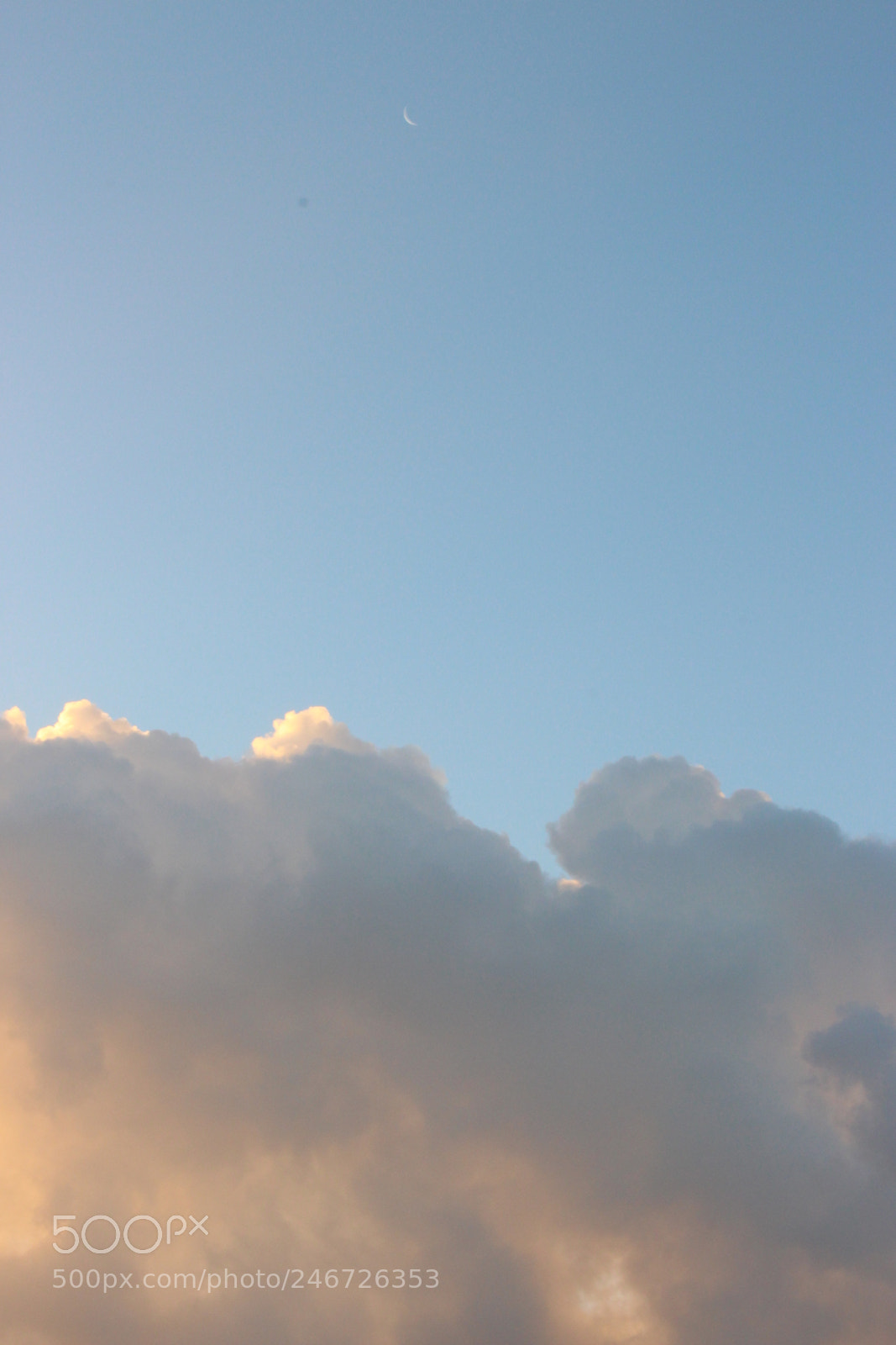 Canon EOS 700D (EOS Rebel T5i / EOS Kiss X7i) sample photo. Img photography