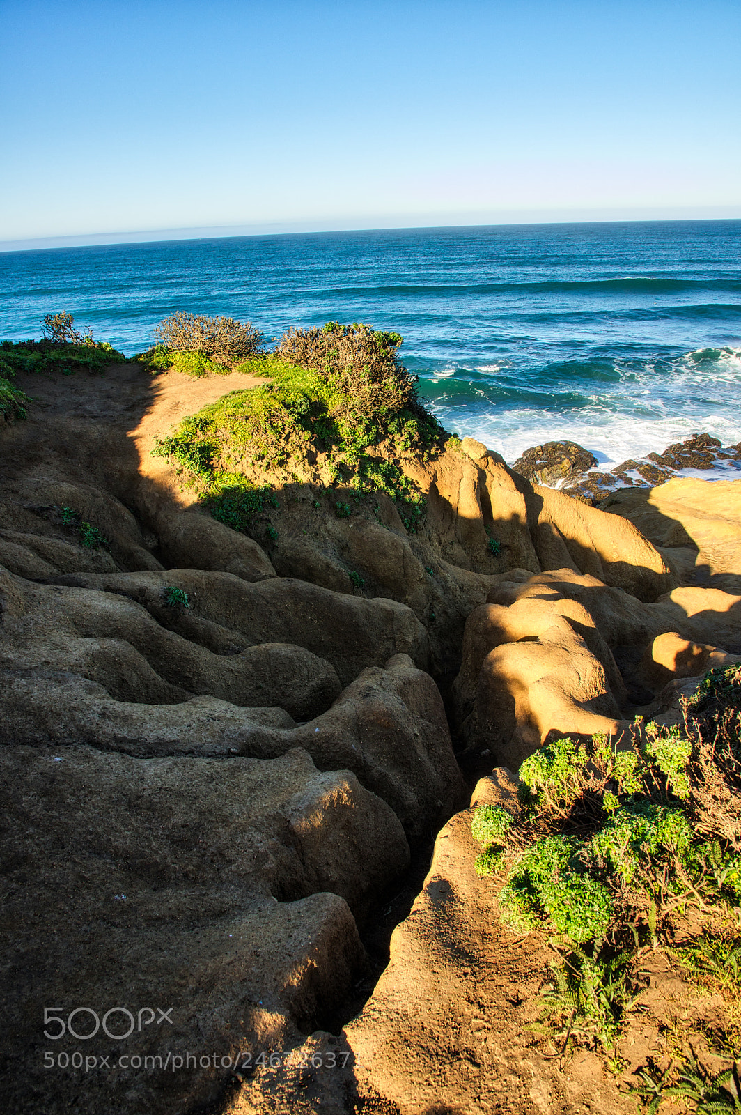 Pentax K-3 II sample photo. Point reyes photography