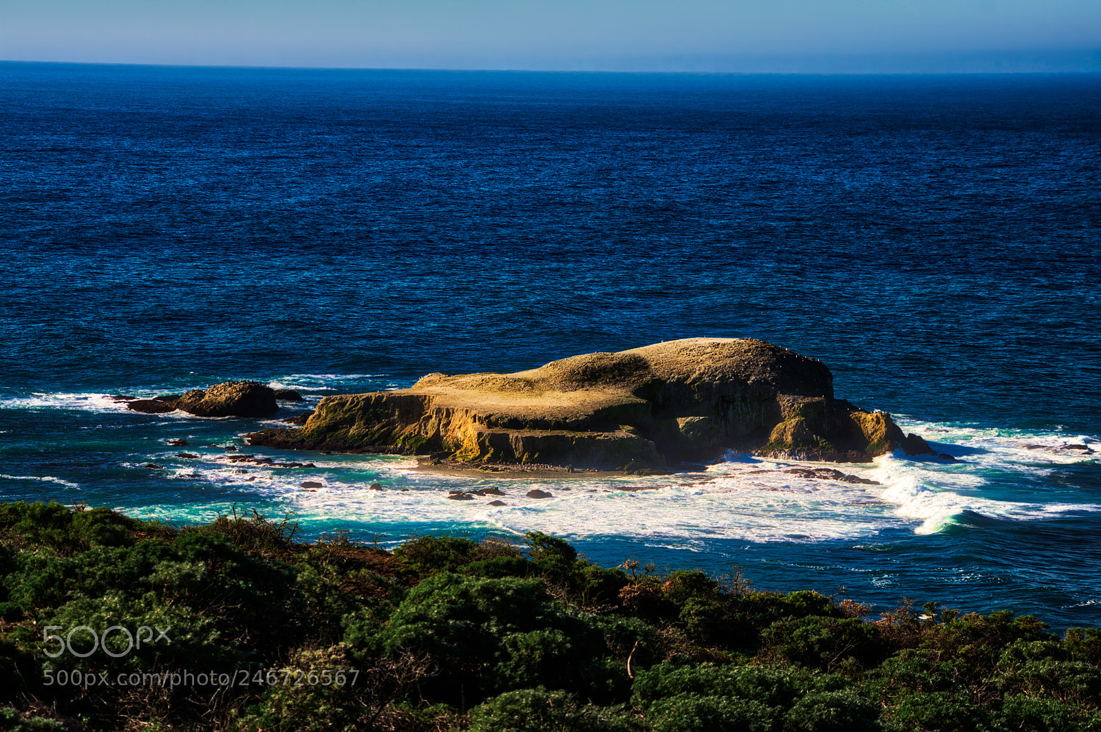 Pentax K-3 II sample photo. Point reyes photography