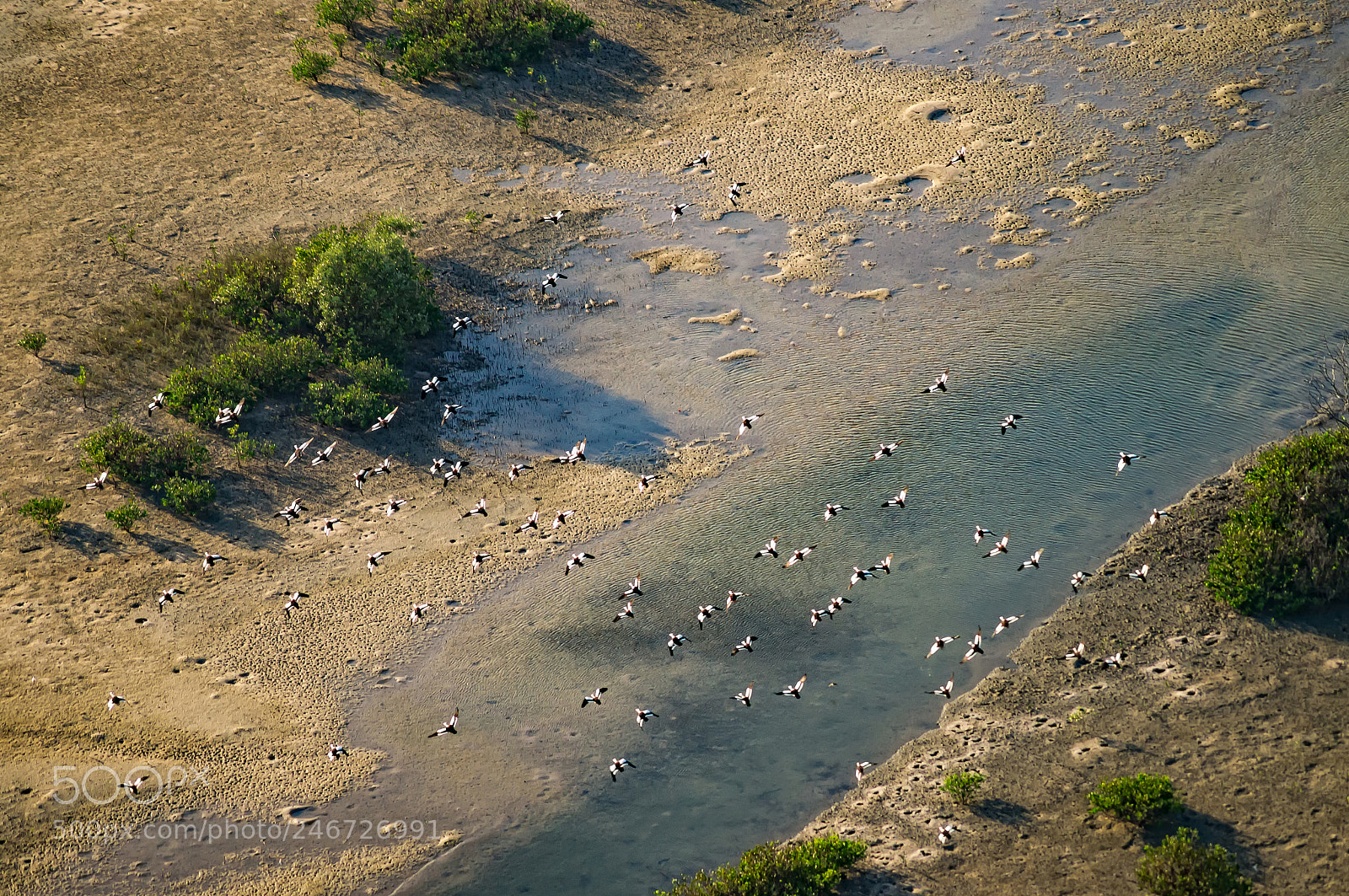 Sony SLT-A57 sample photo. Aerial view to the photography