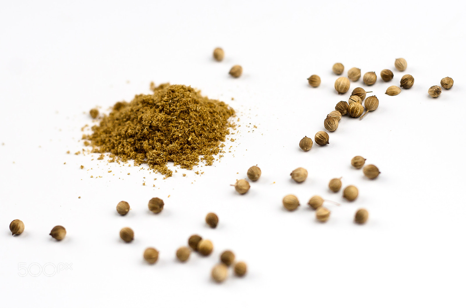 Canon EOS 30D sample photo. Coriander seeds and powder photography