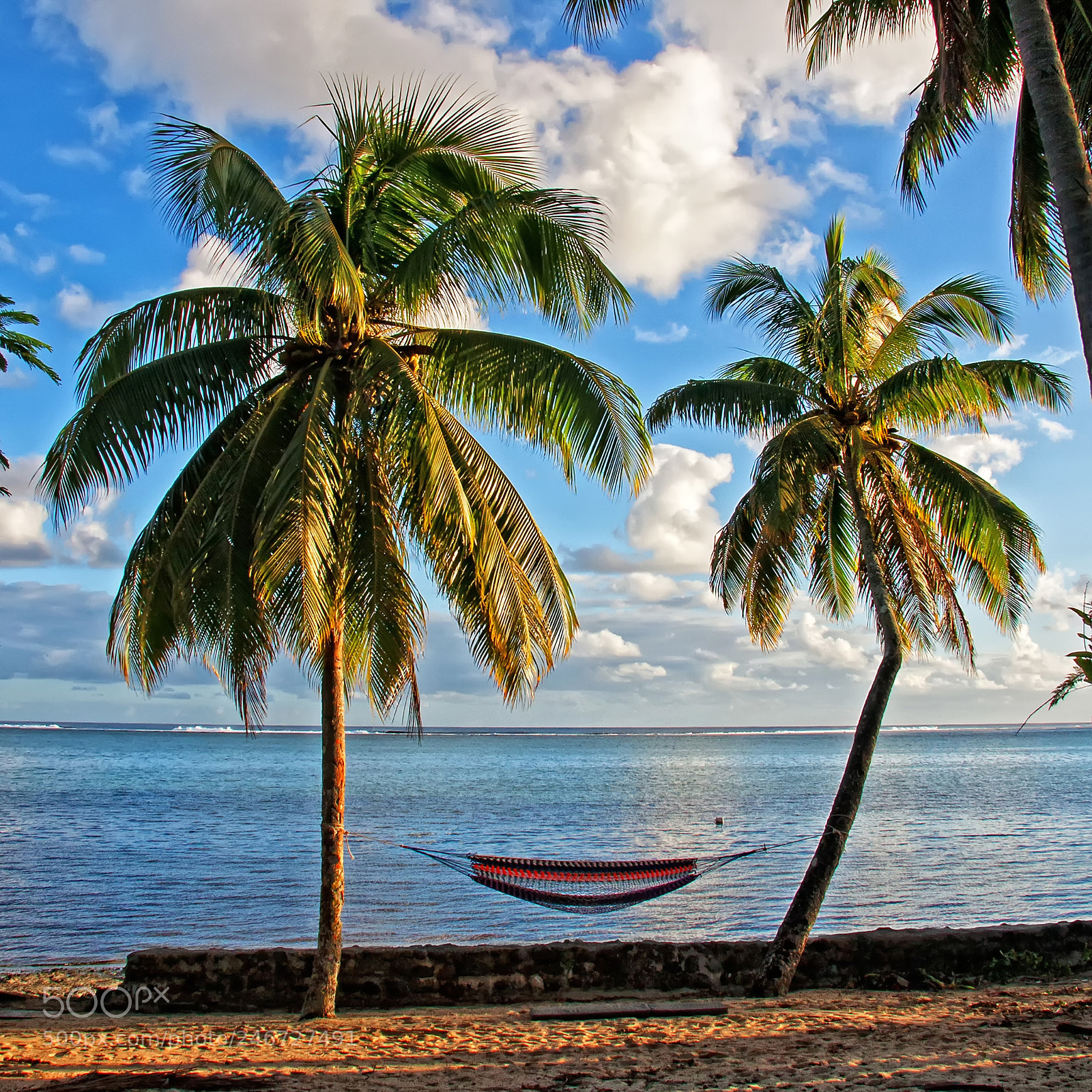 Canon EOS 30D sample photo. Hammock between two palm photography