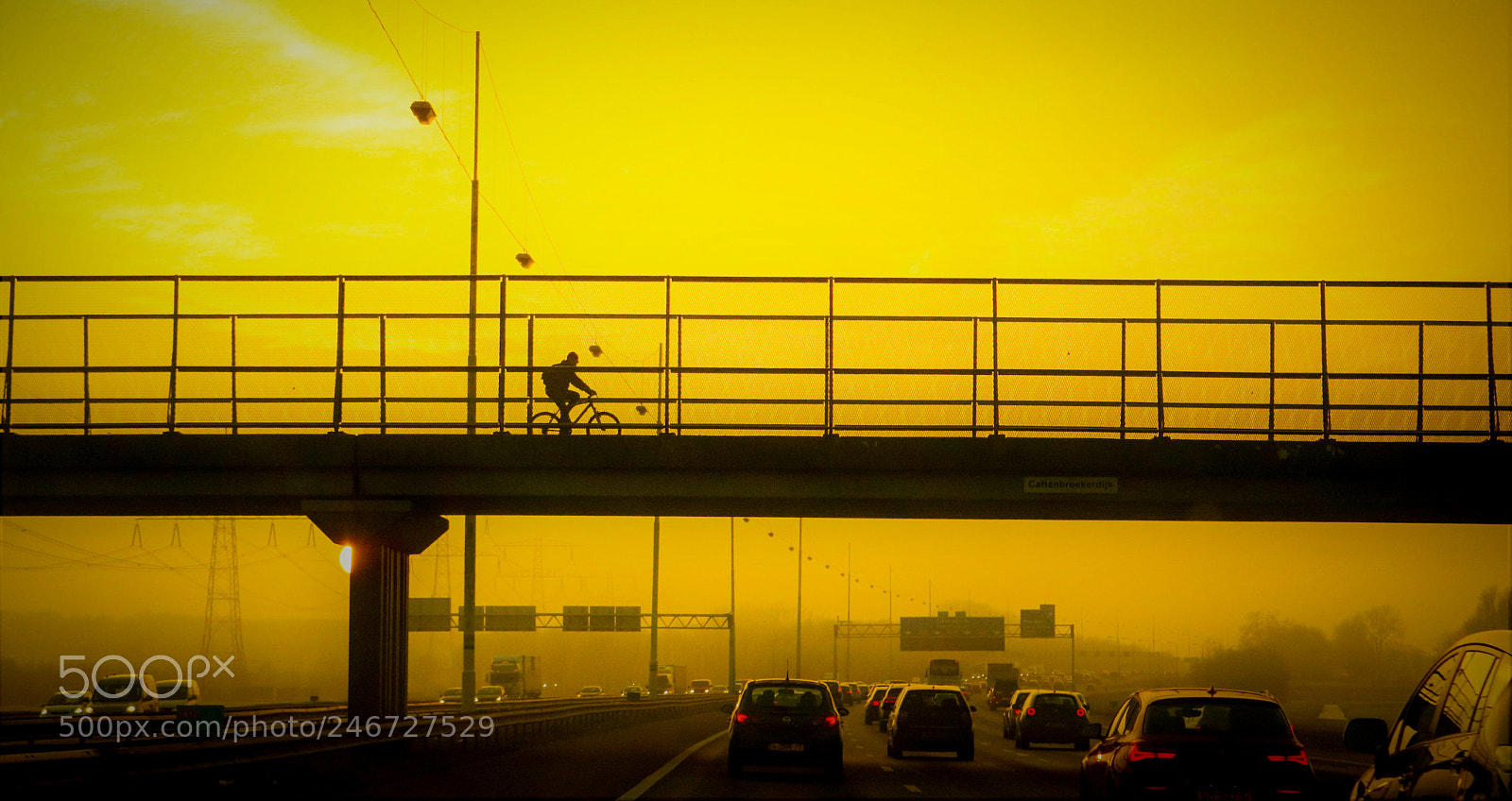 Canon EOS 750D (EOS Rebel T6i / EOS Kiss X8i) sample photo. Lone biker photography