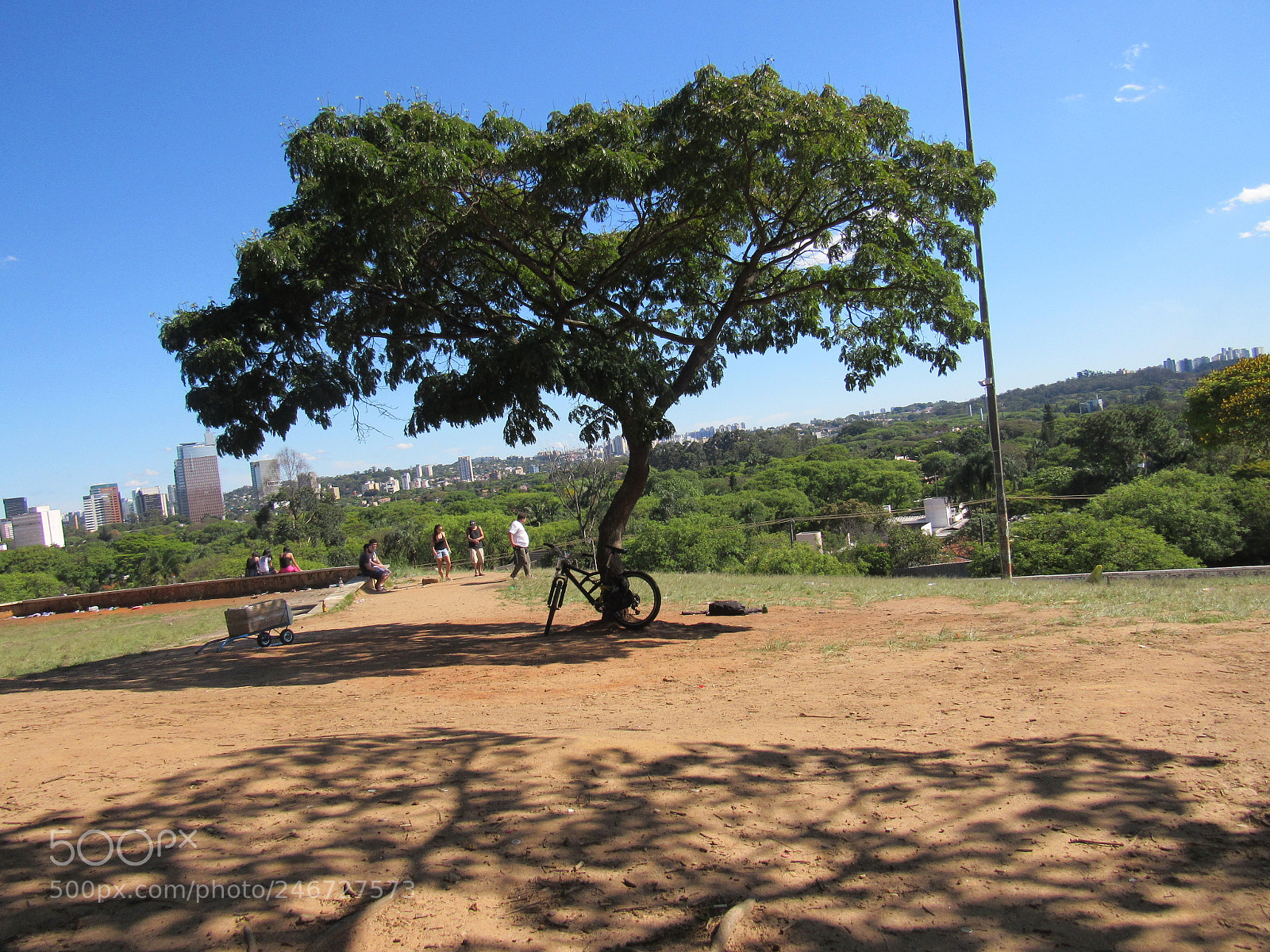 Canon PowerShot SX520 HS sample photo. Img photography